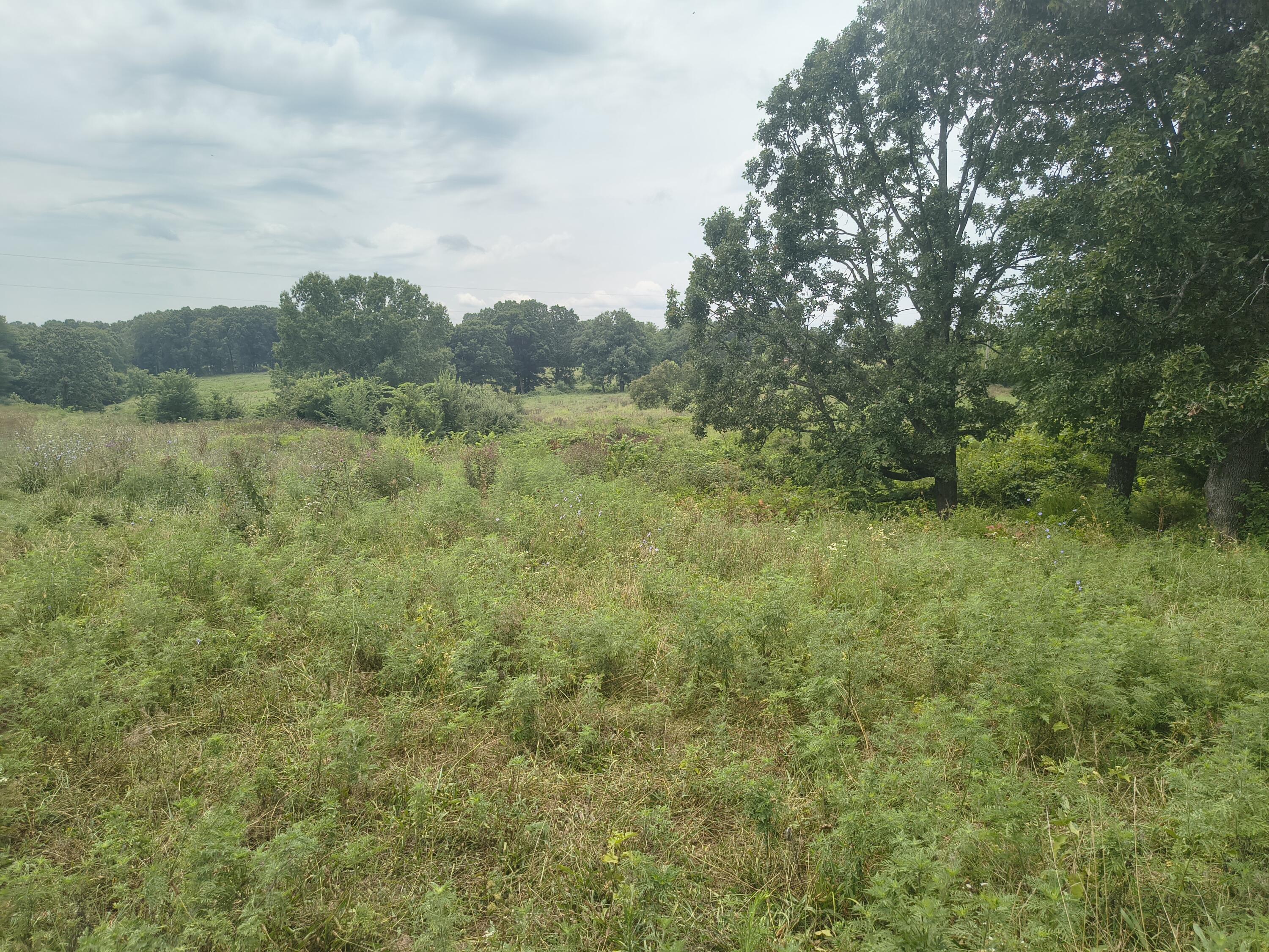 Photo 3 - Land for sale – 1830  Sweet Corn   Galena, MO