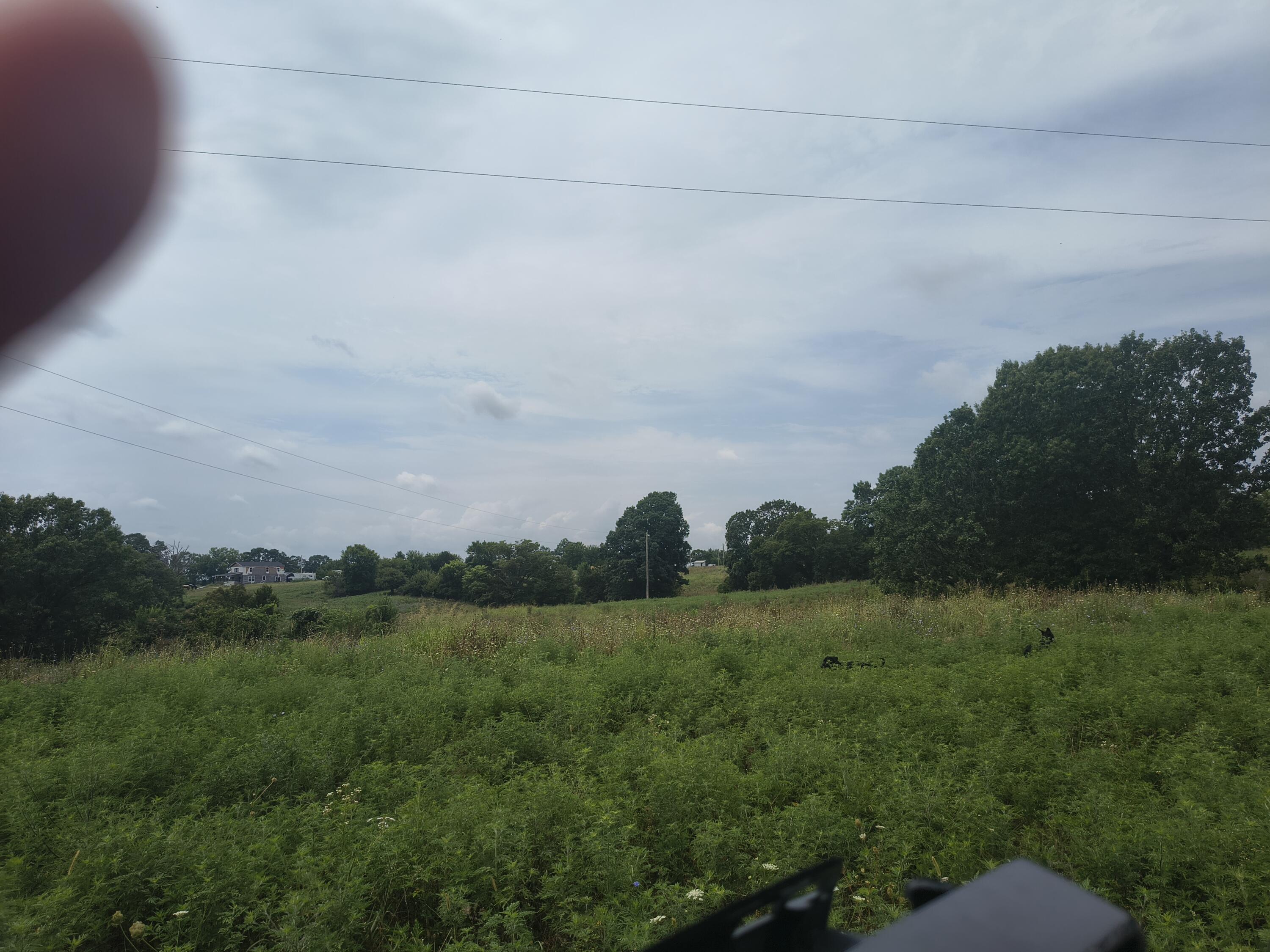 Photo 8 - Land for sale – 1830  Sweet Corn   Galena, MO