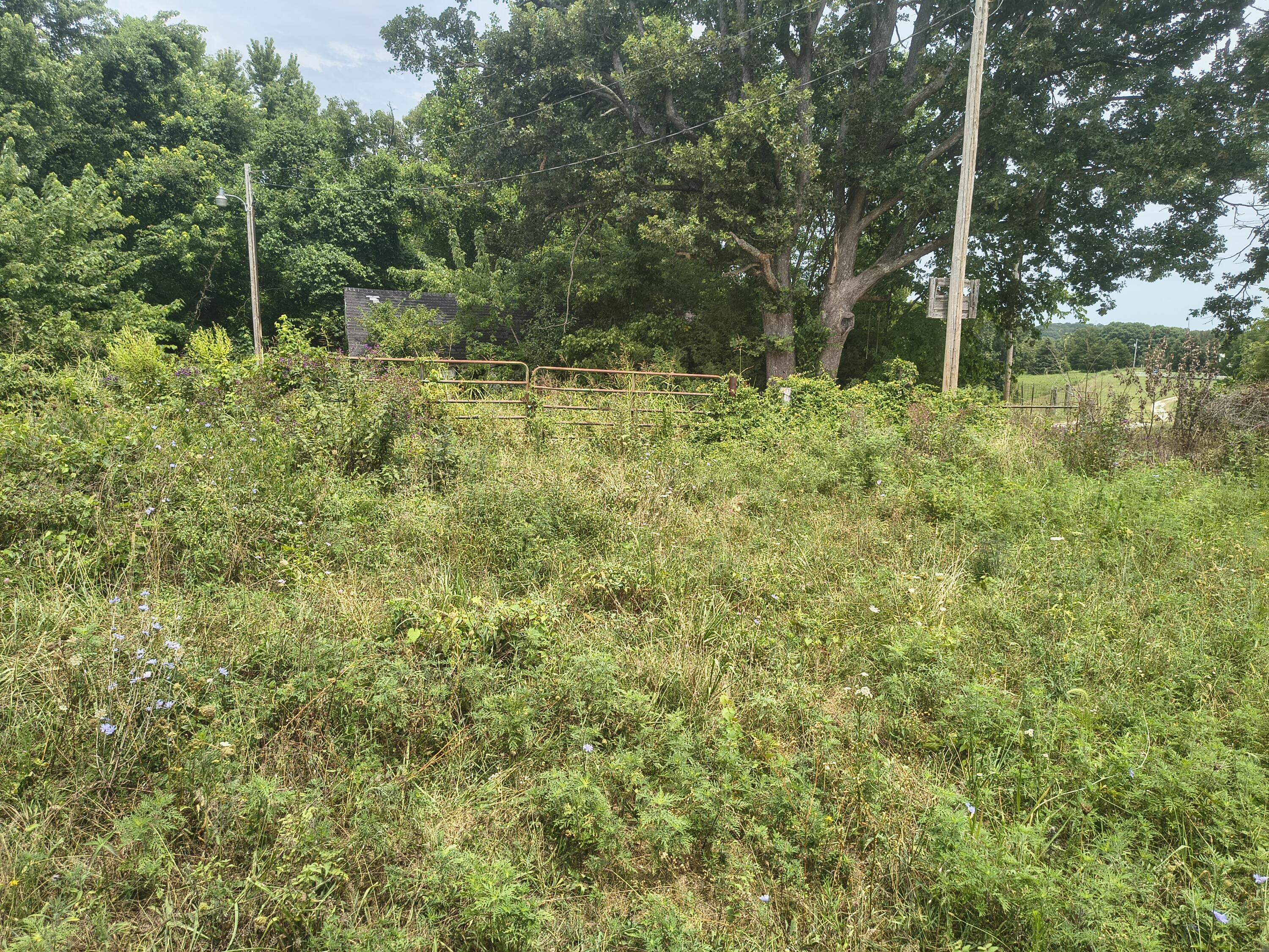 Photo 7 - Land for sale – 1830  Sweet Corn   Galena, MO