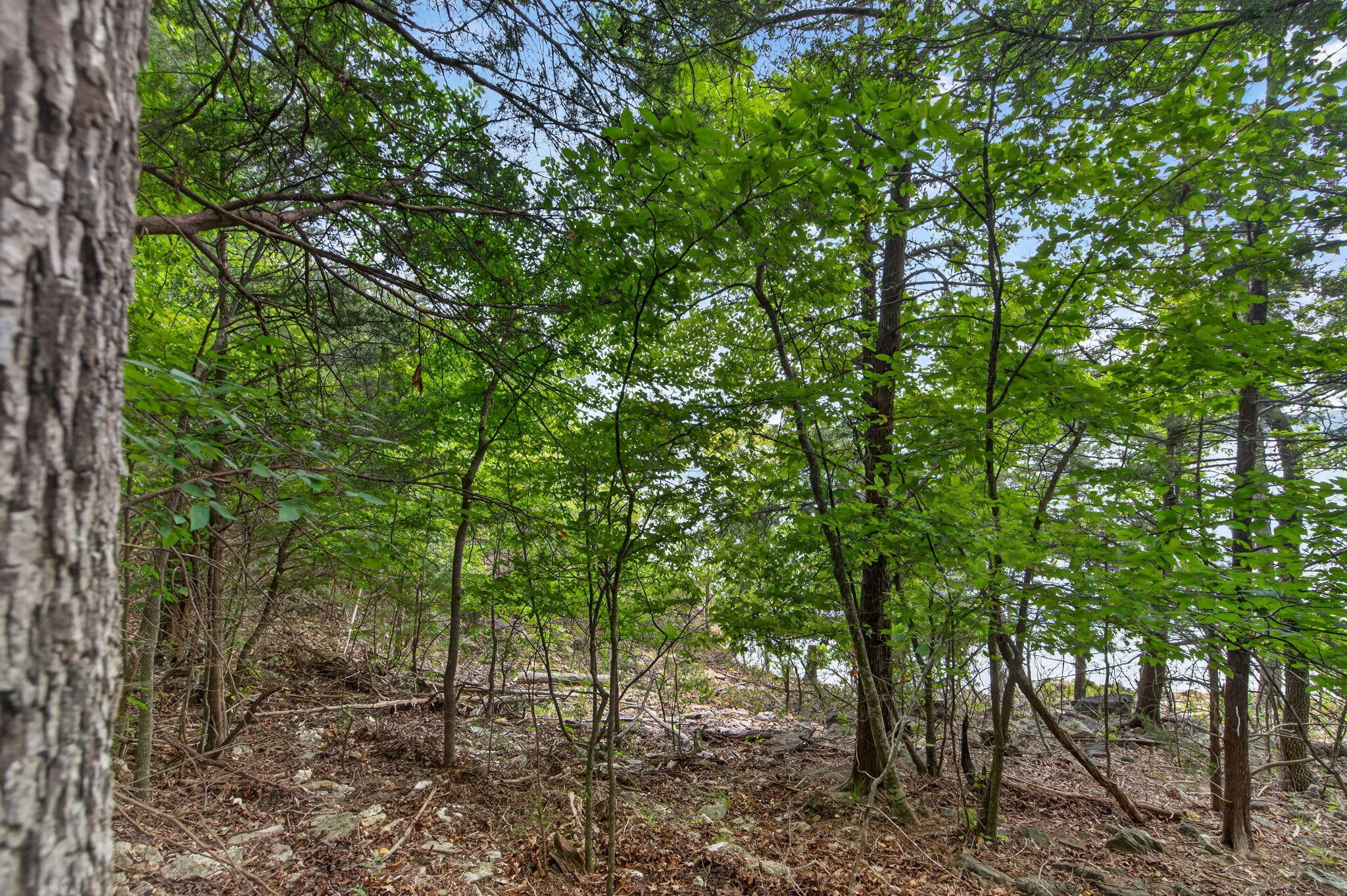 Photo 20 - Land for sale – 000  Alyeska Point Road  Lampe, MO