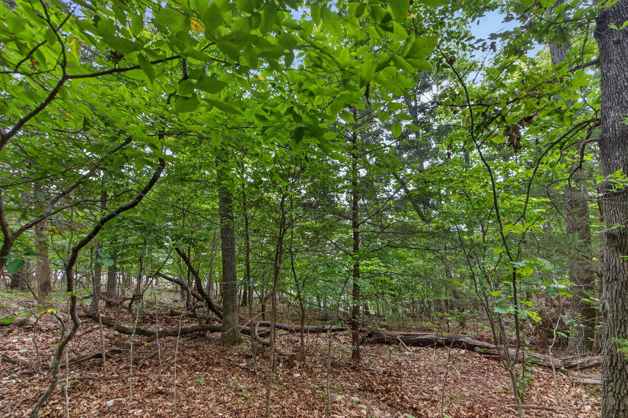 Photo 21 - Land for sale – 000  Alyeska Point Road  Lampe, MO