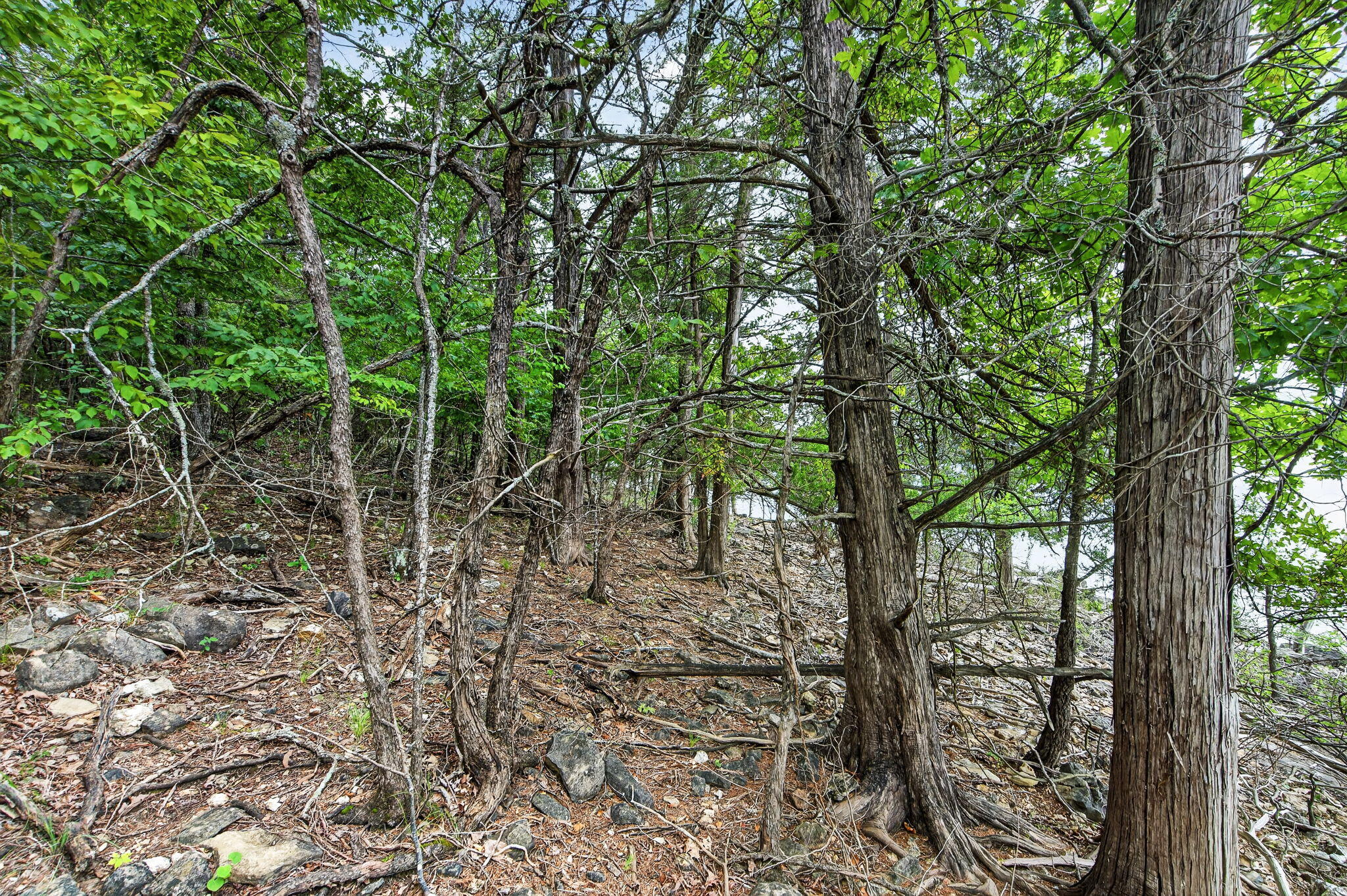 Photo 19 - Land for sale – 000  Alyeska Point Road  Lampe, MO
