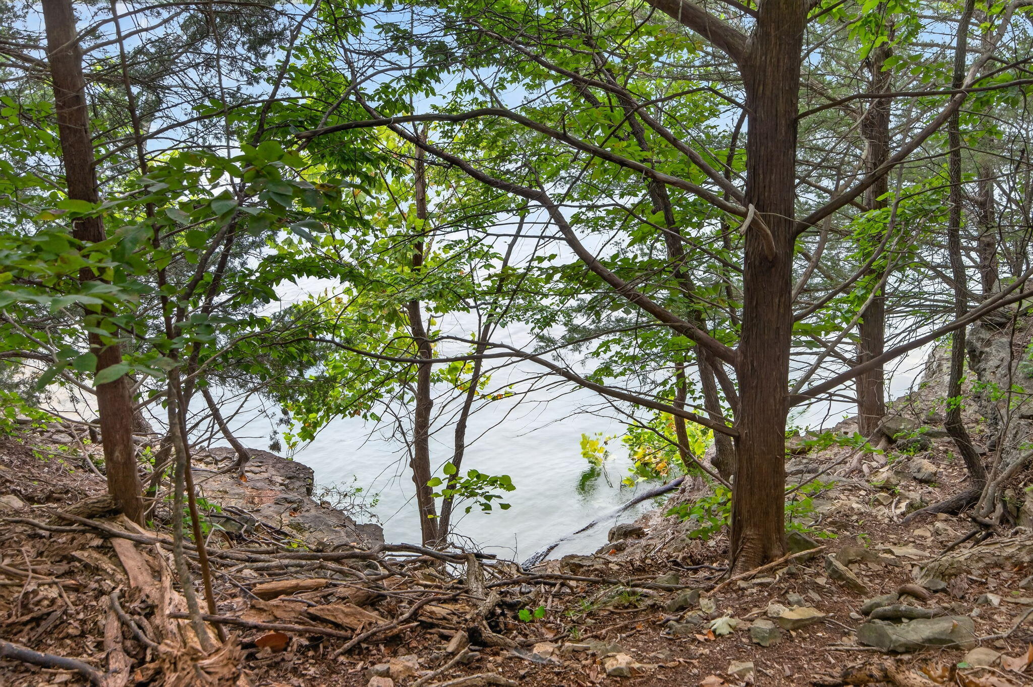 Photo 4 - Land for sale – 000  Alyeska Point Road  Lampe, MO