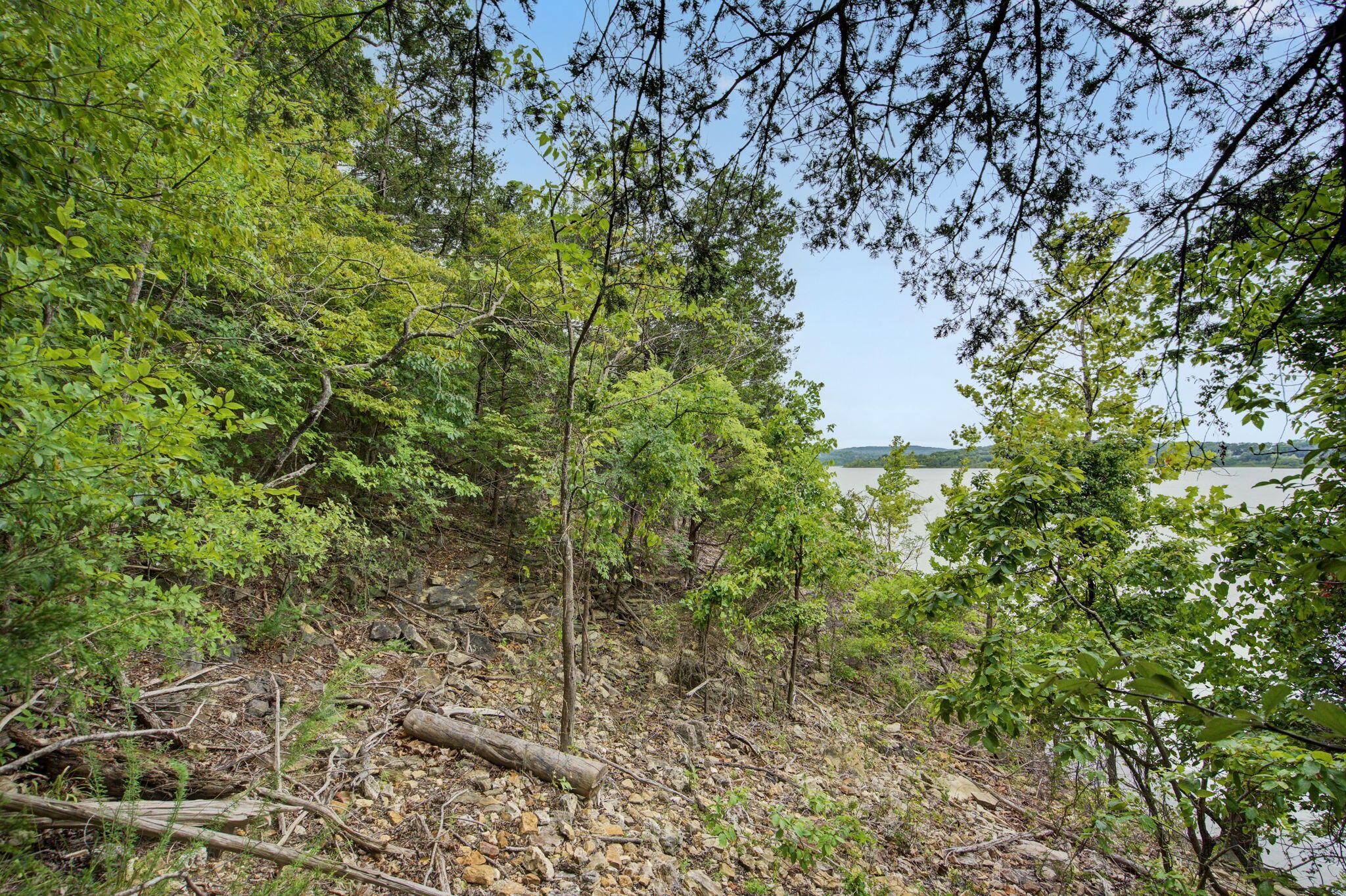 Photo 5 - Land for sale – 000  Alyeska Point Road  Lampe, MO