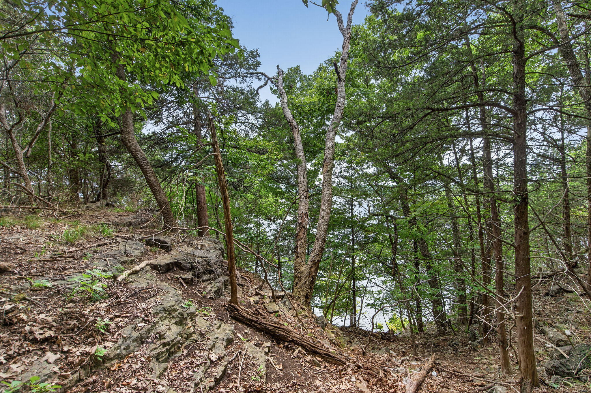 Photo 17 - Land for sale – 000  Alyeska Point Road  Lampe, MO