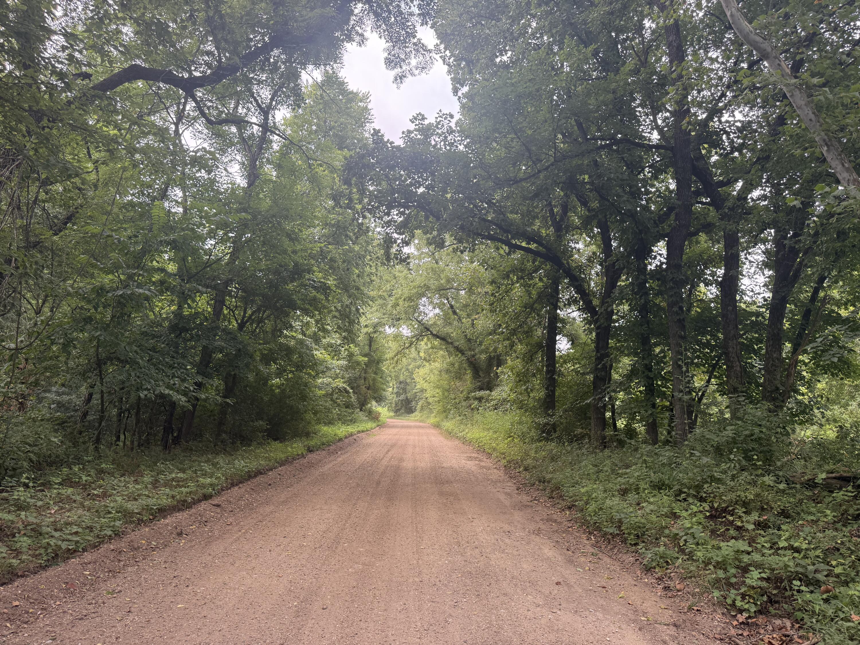 Photo 2 - Land for sale – 000  Paulson Drive  Edwards, MO
