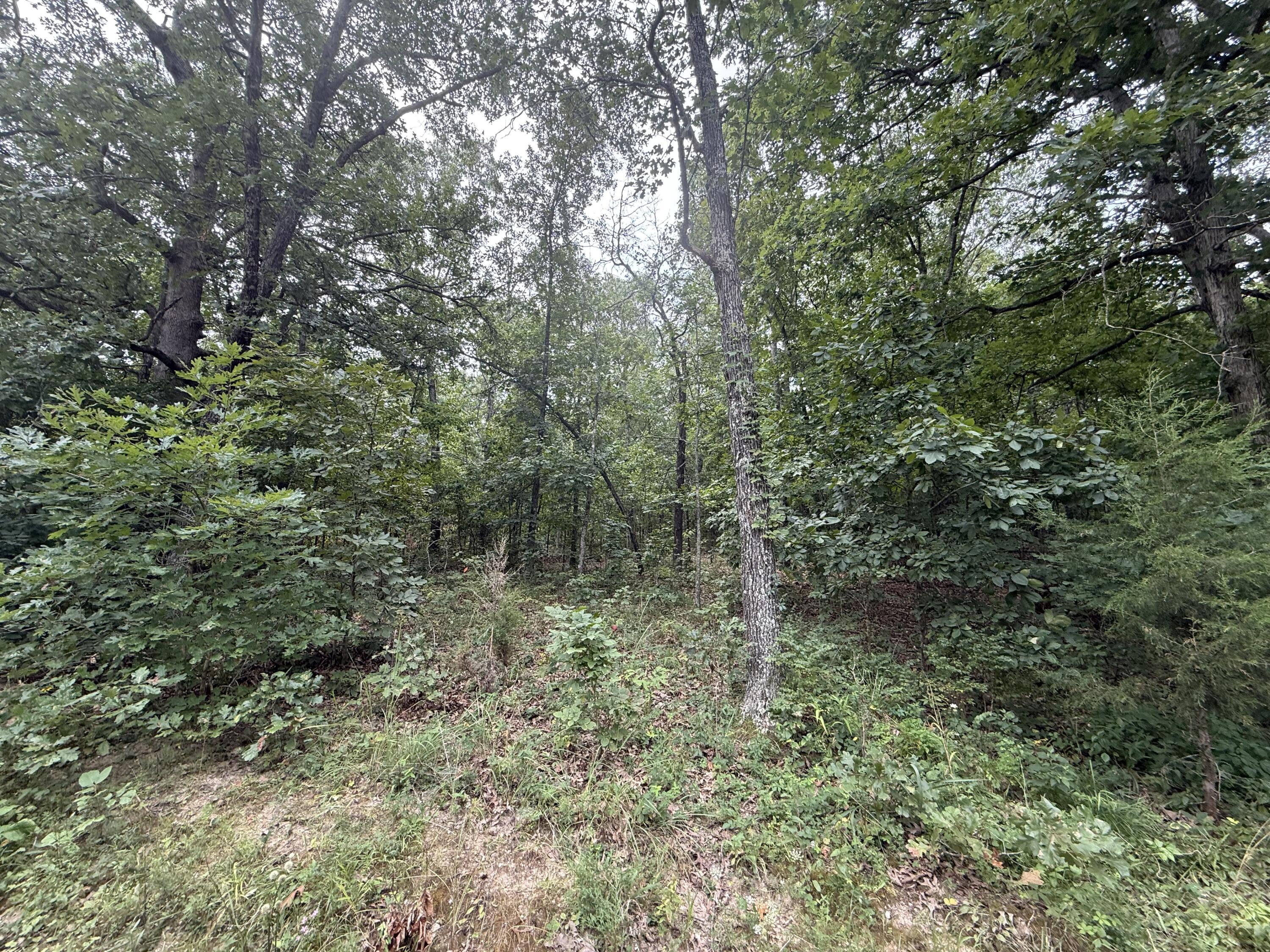 Photo 16 - Land for sale – 000  Paulson Drive  Edwards, MO