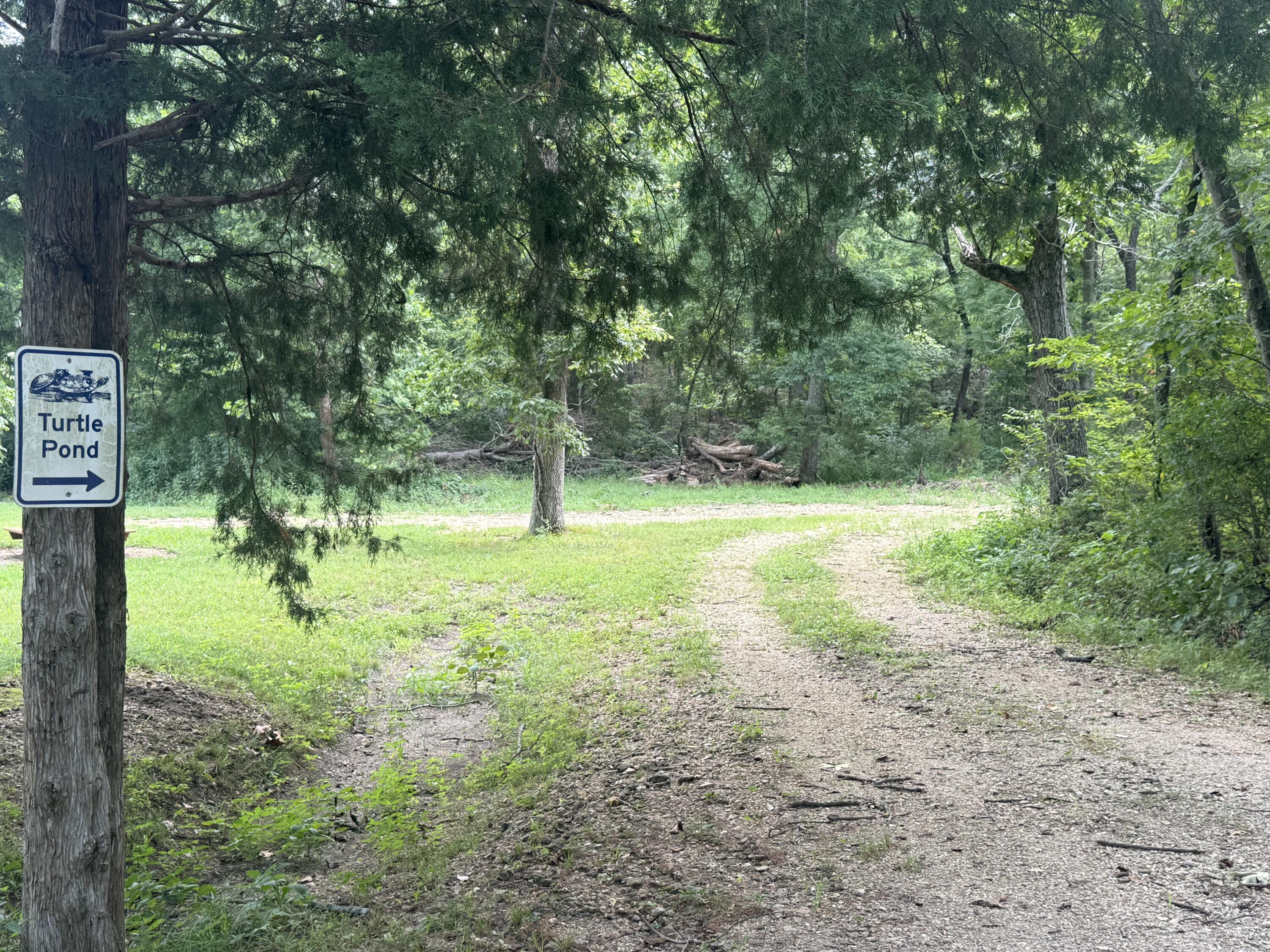 Photo 8 - Land for sale – 000  Paulson Drive  Edwards, MO