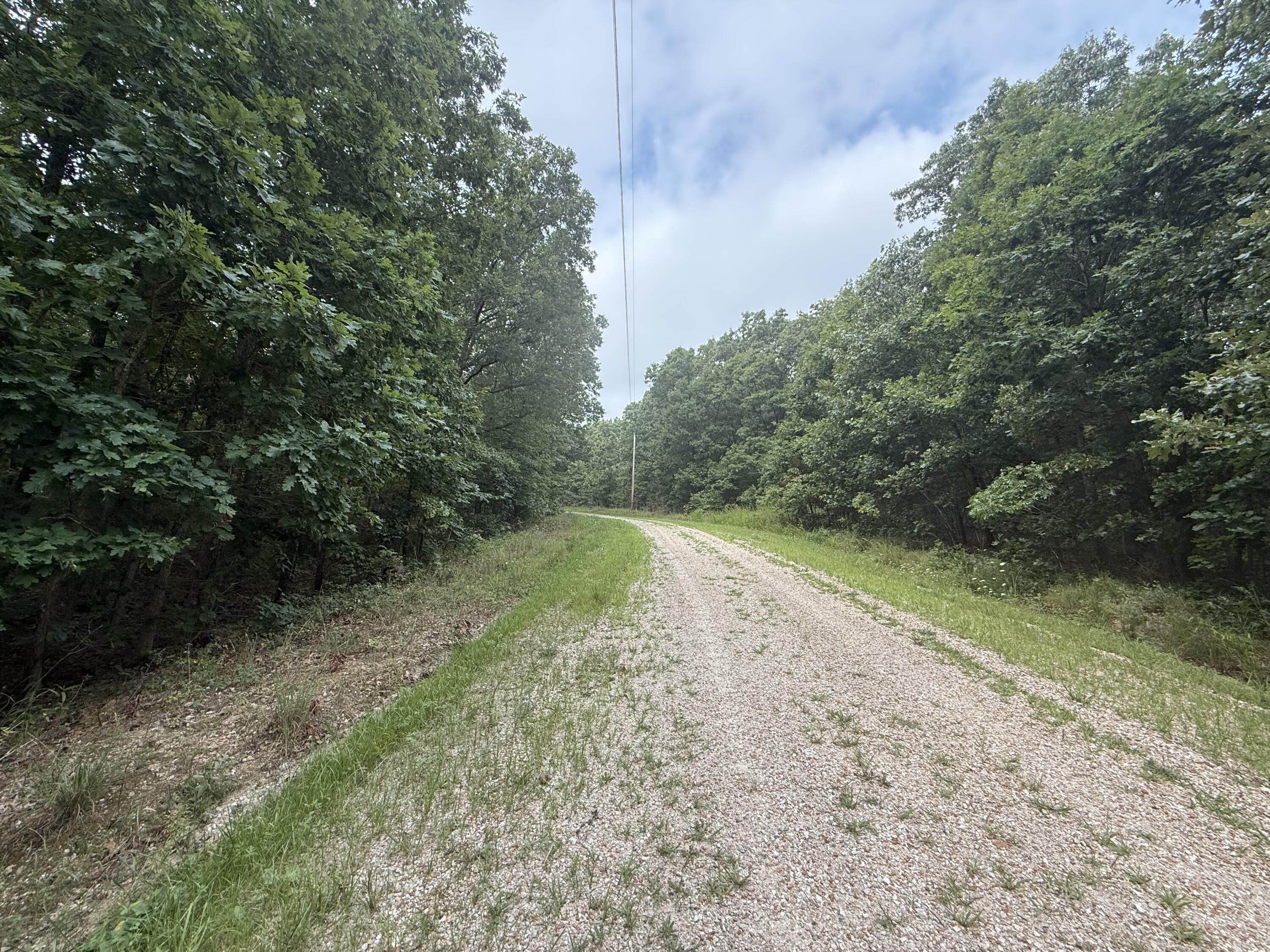 Photo 14 - Land for sale – 000  Paulson Drive  Edwards, MO