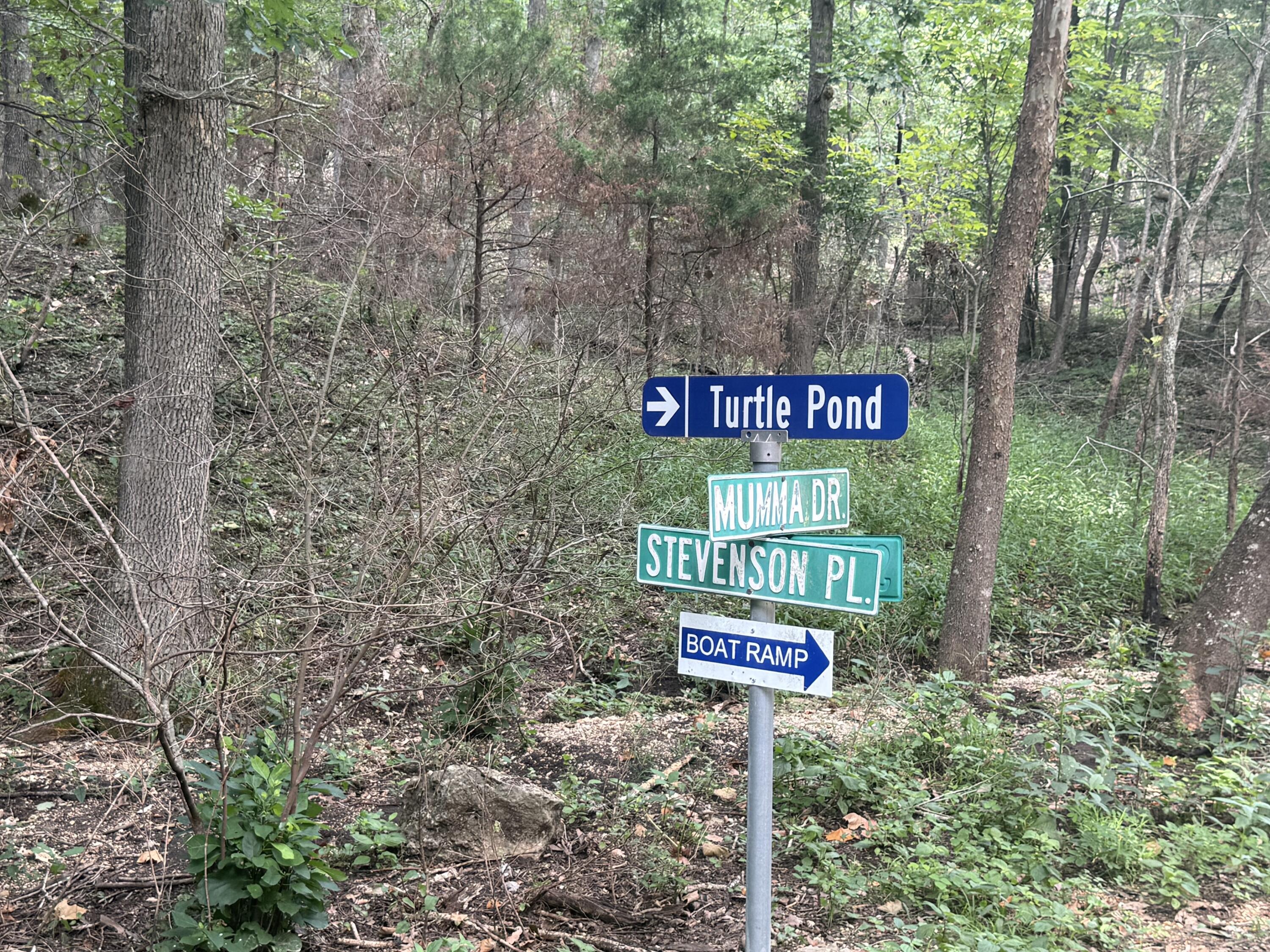 Photo 4 - Land for sale – 000  Paulson Drive  Edwards, MO