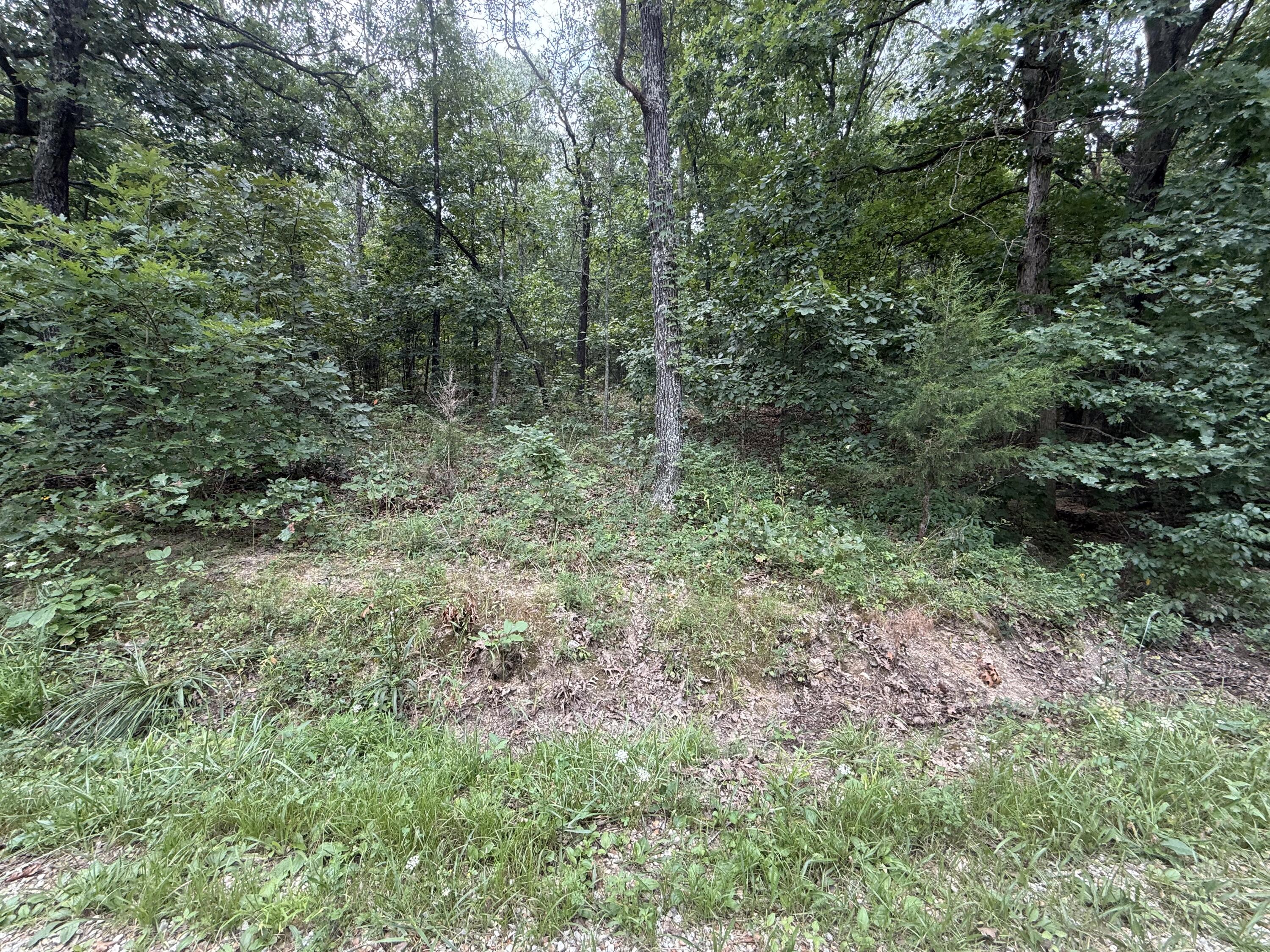 Photo 3 - Land for sale – 000  Paulson Drive  Edwards, MO