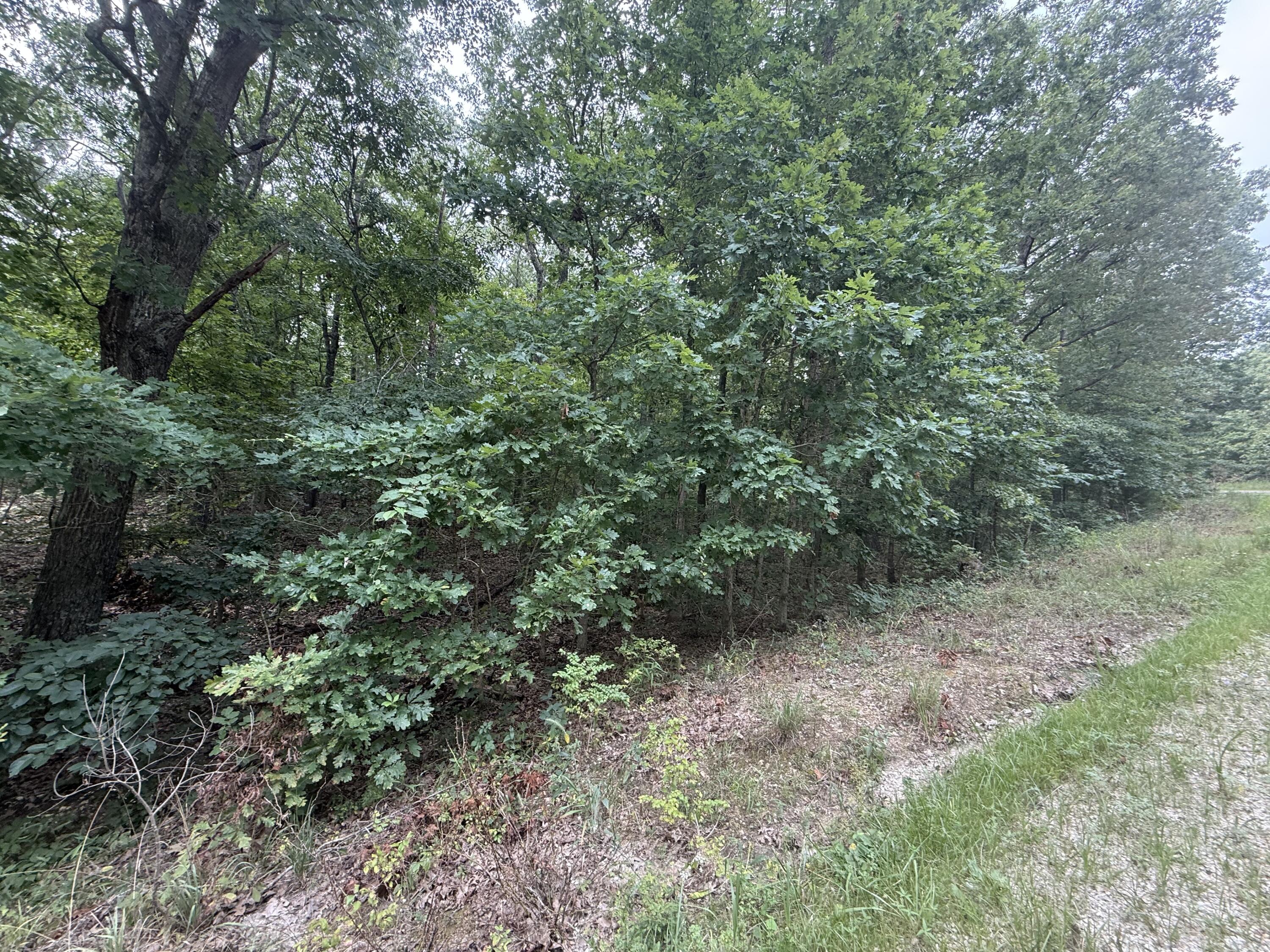 Photo 13 - Land for sale – 000  Paulson Drive  Edwards, MO