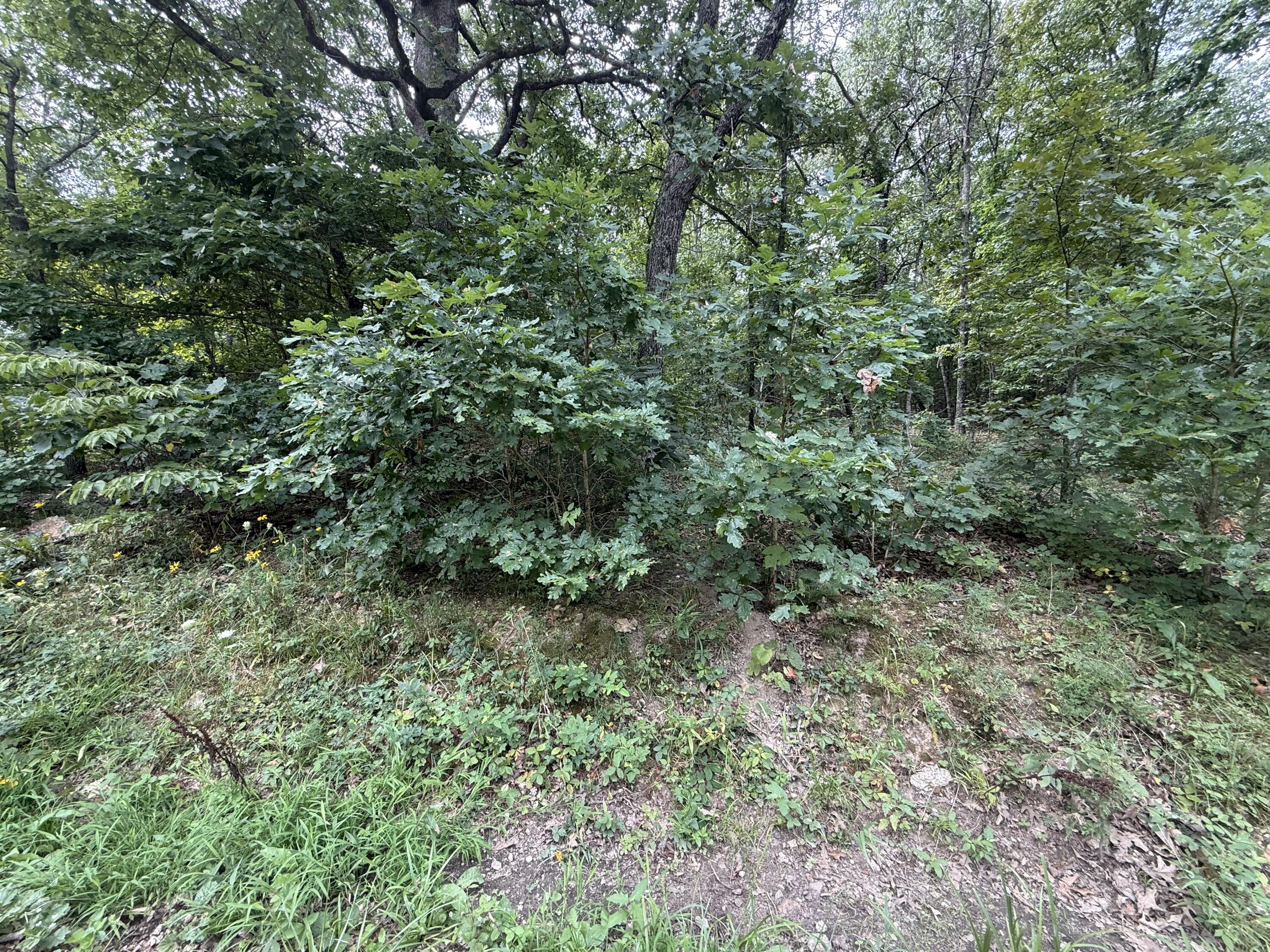 Photo 18 - Land for sale – 000  Paulson Drive  Edwards, MO