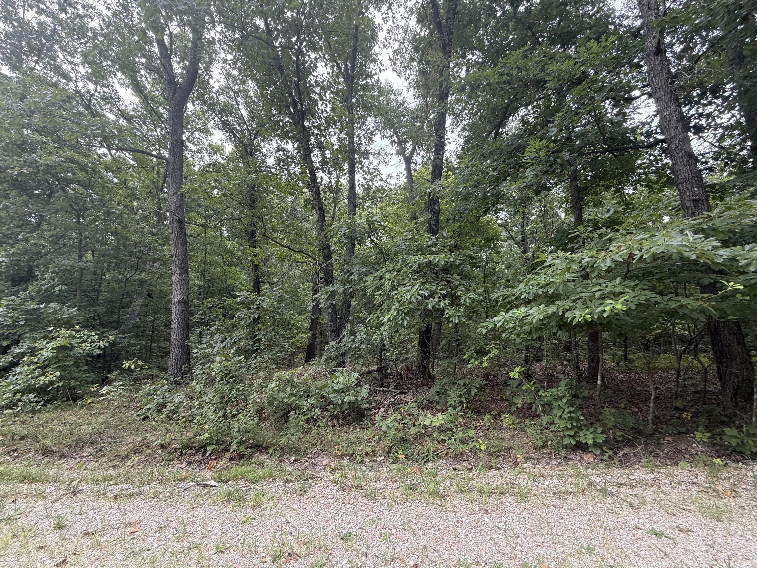 Photo 12 - Land for sale – 000  Paulson Drive  Edwards, MO