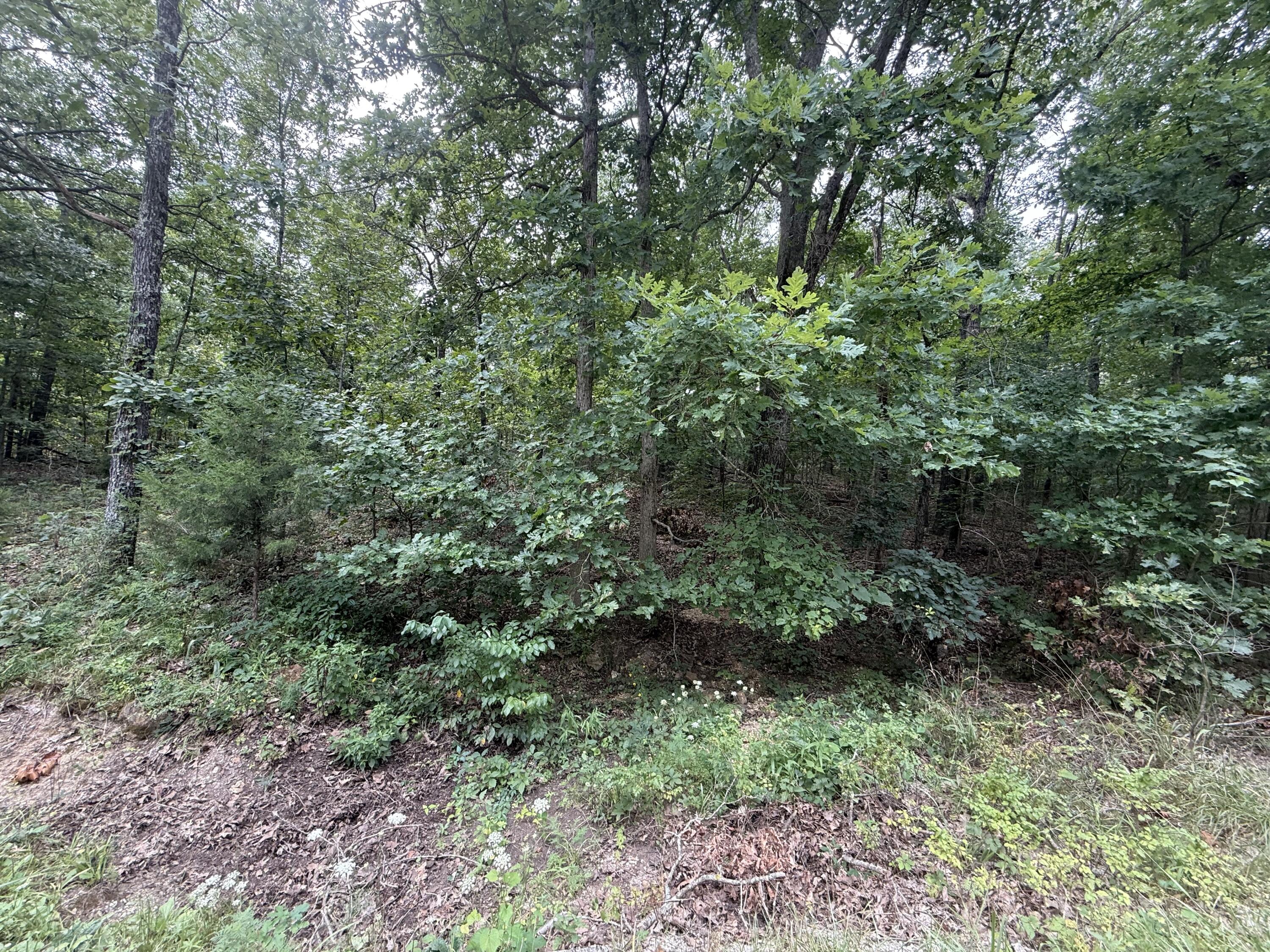 Photo 17 - Land for sale – 000  Paulson Drive  Edwards, MO
