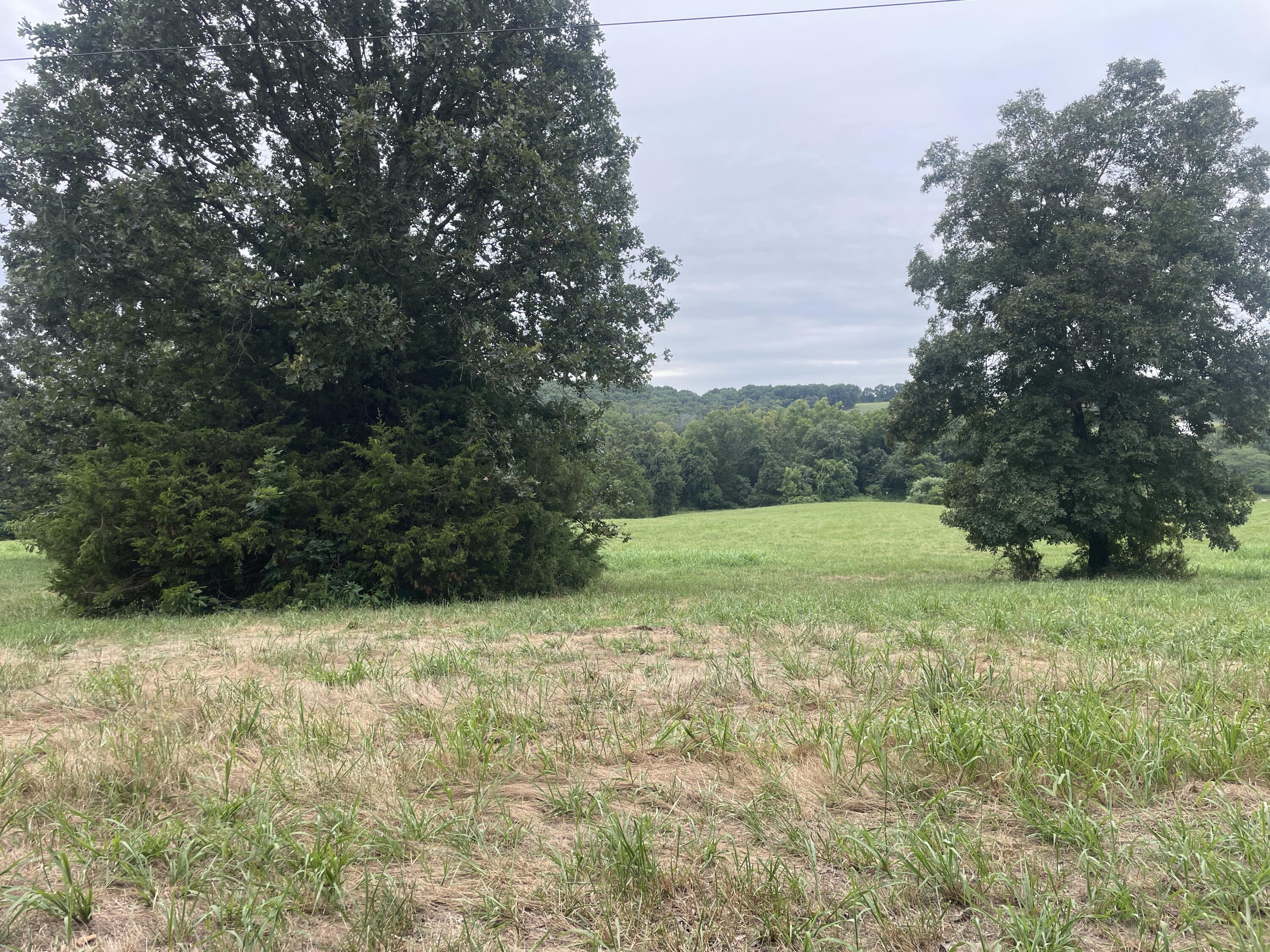 Photo 67 - Residential for sale – 5910 S St Highway 5   Ava, MO