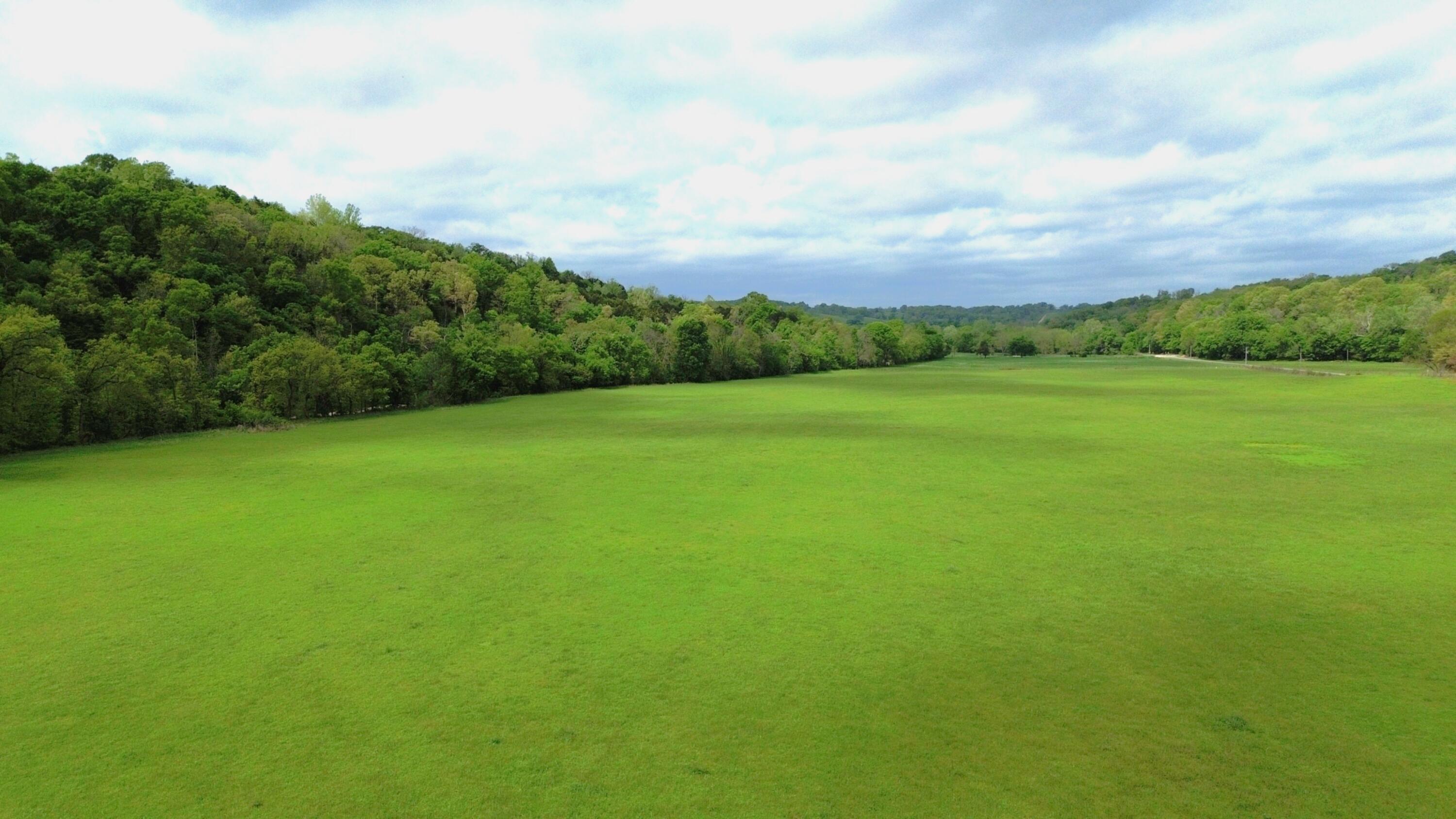 Photo 6 - Land for sale – 000  State Highway 90   Washburn, MO