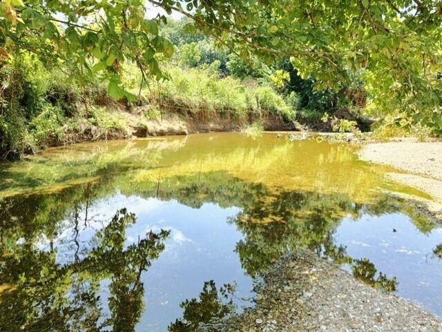 Photo 10 - Land for sale – 000  State Highway 90   Washburn, MO