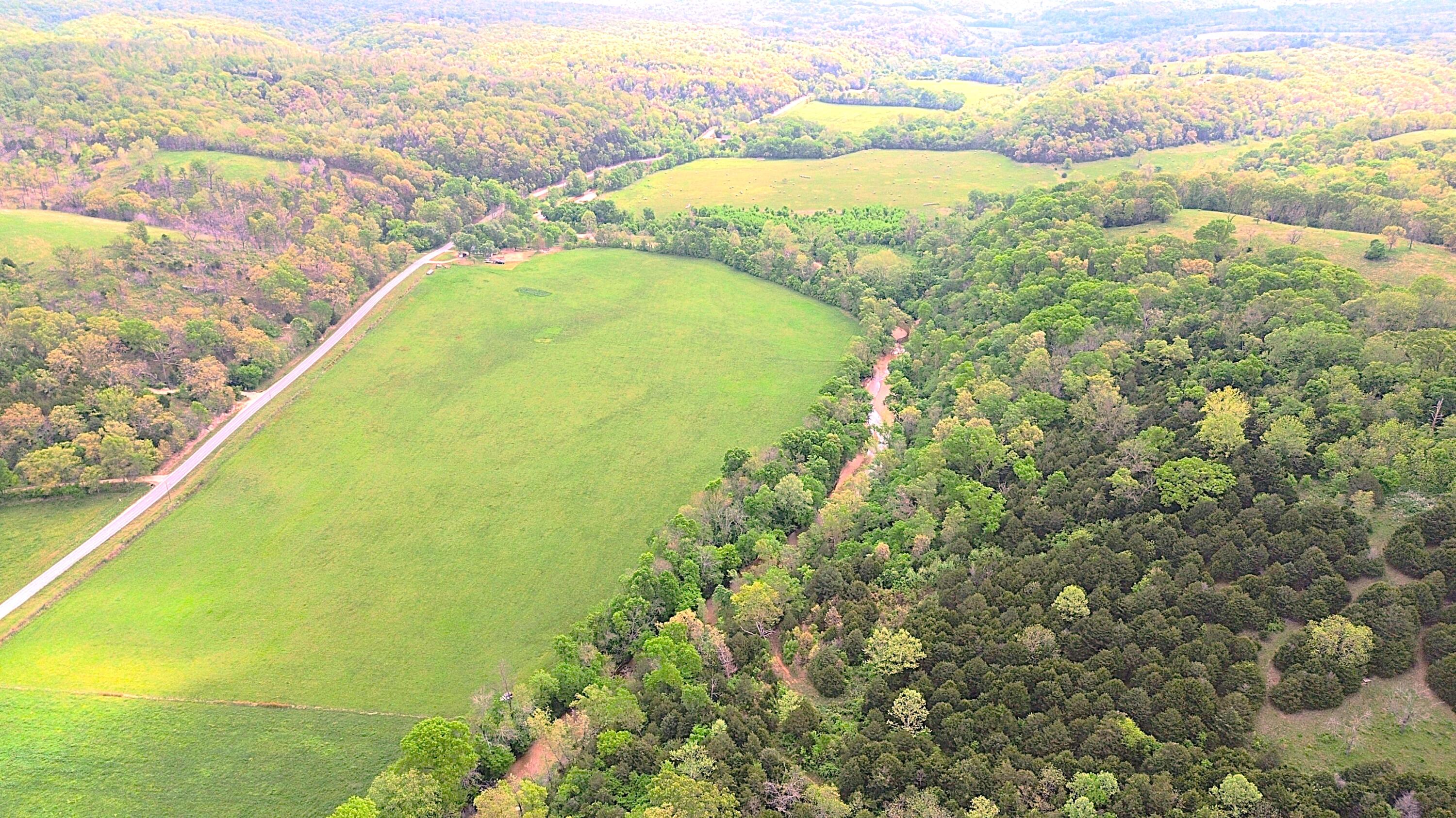 Photo 8 - Land for sale – 000  State Highway 90   Washburn, MO