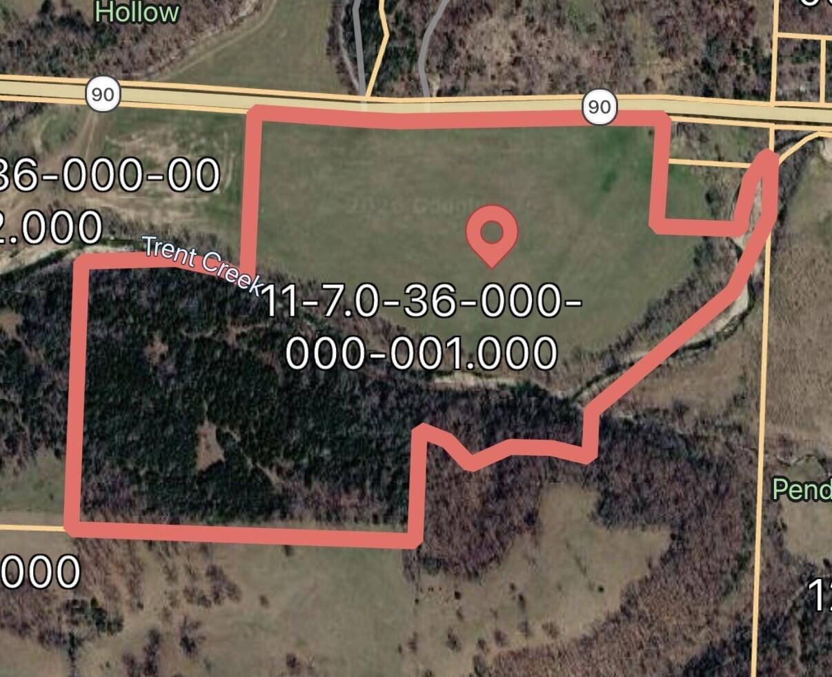 Photo 2 - Land for sale – 000  State Highway 90   Washburn, MO