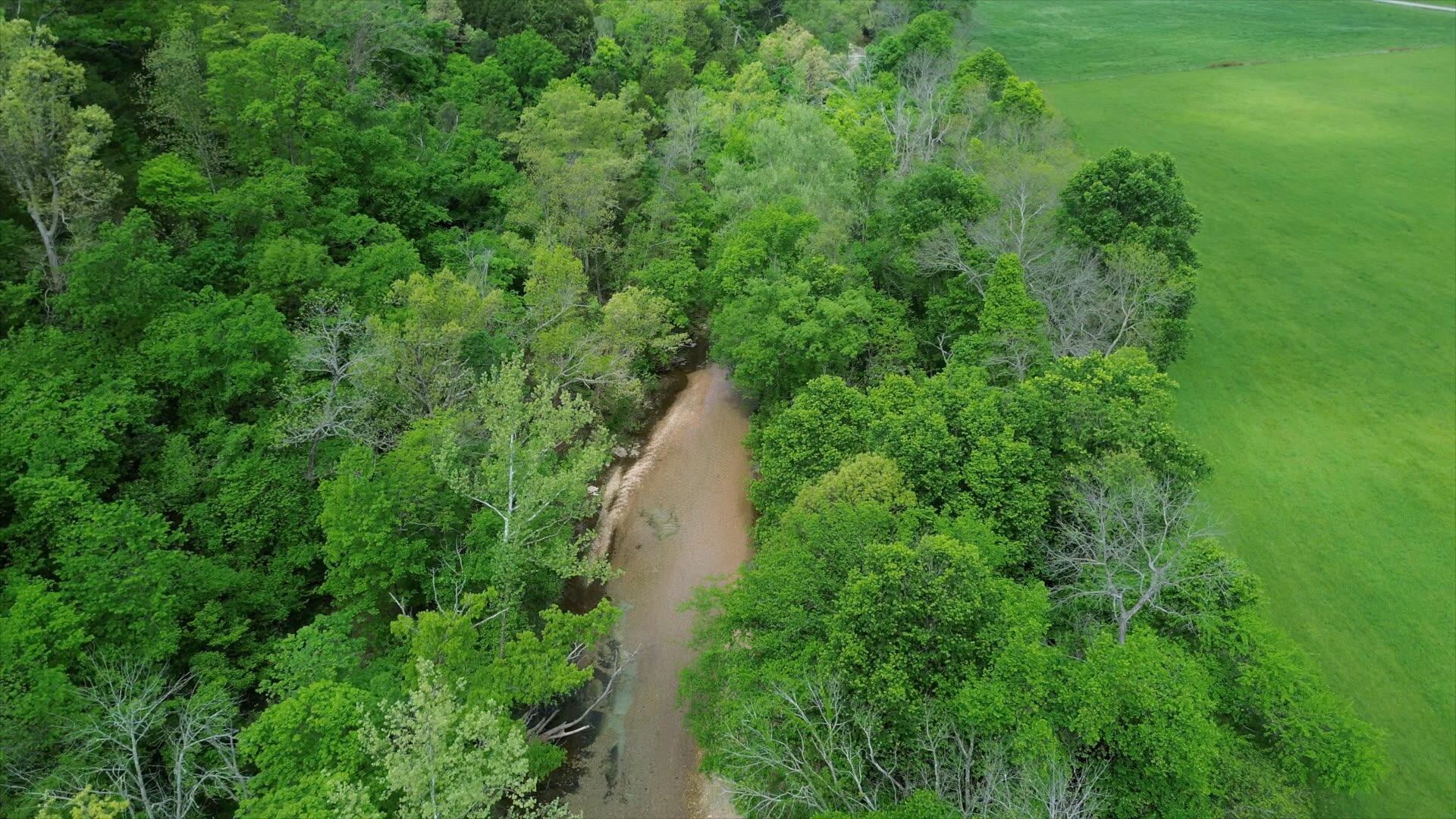 Photo 5 - Land for sale – 000  State Highway 90   Washburn, MO
