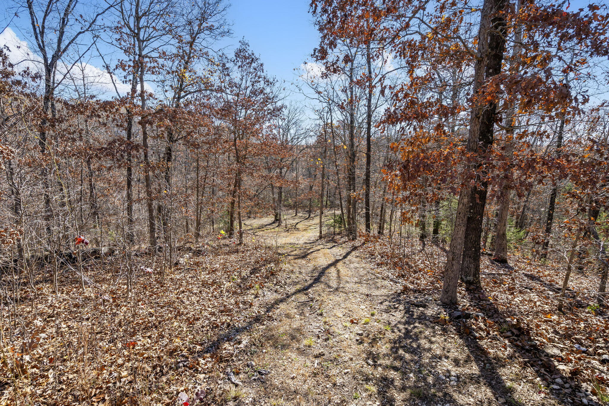 Photo 35 - Residential for sale – 700  Hiawatha Road  Fordland, MO