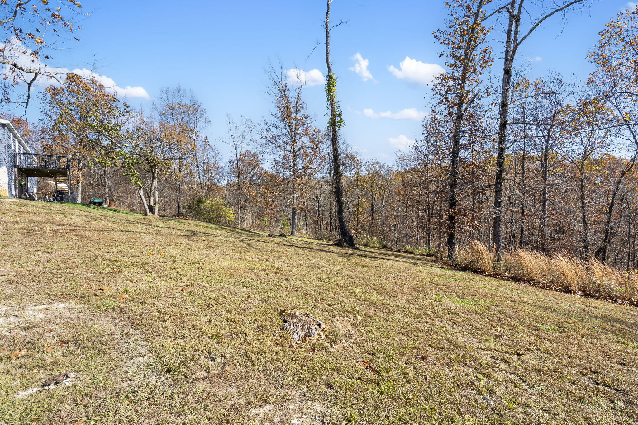 Photo 36 - Residential for sale – 700  Hiawatha Road  Fordland, MO