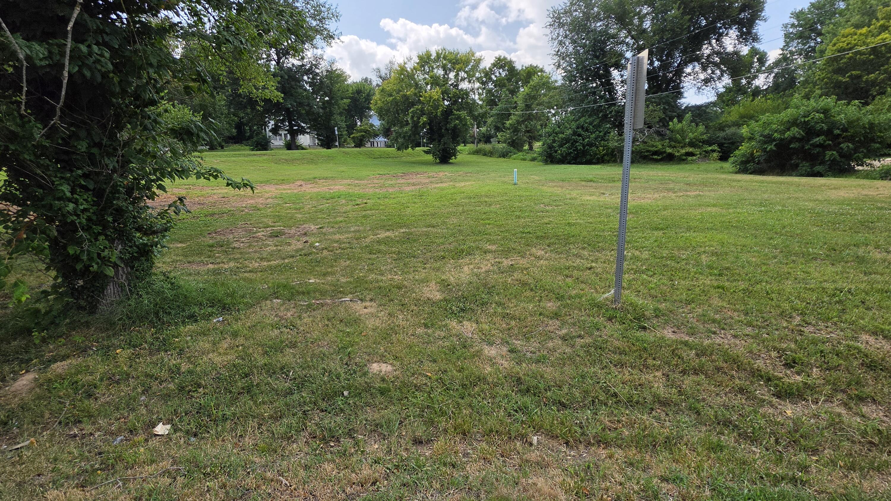 Photo 6 - Land for sale – 000 N Main Street  Cassville, MO