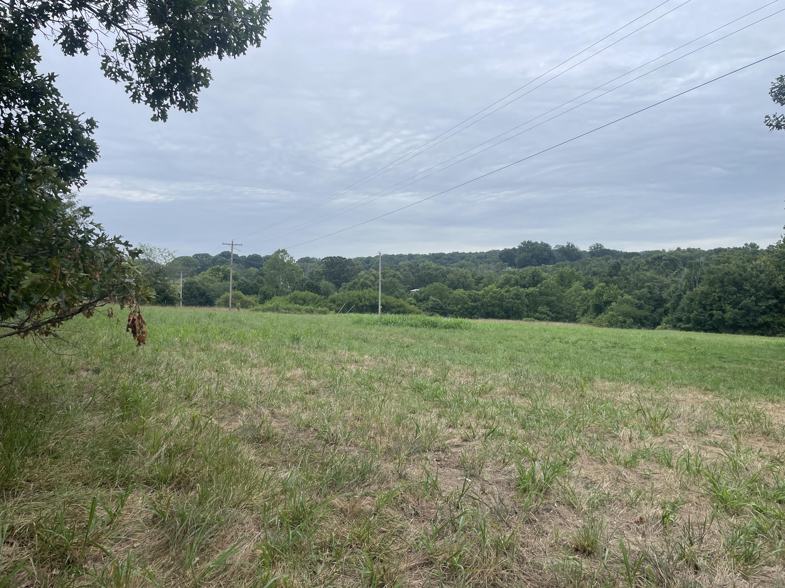 Photo 65 - Farm for sale – 5910 S St Highway 5   Ava, MO