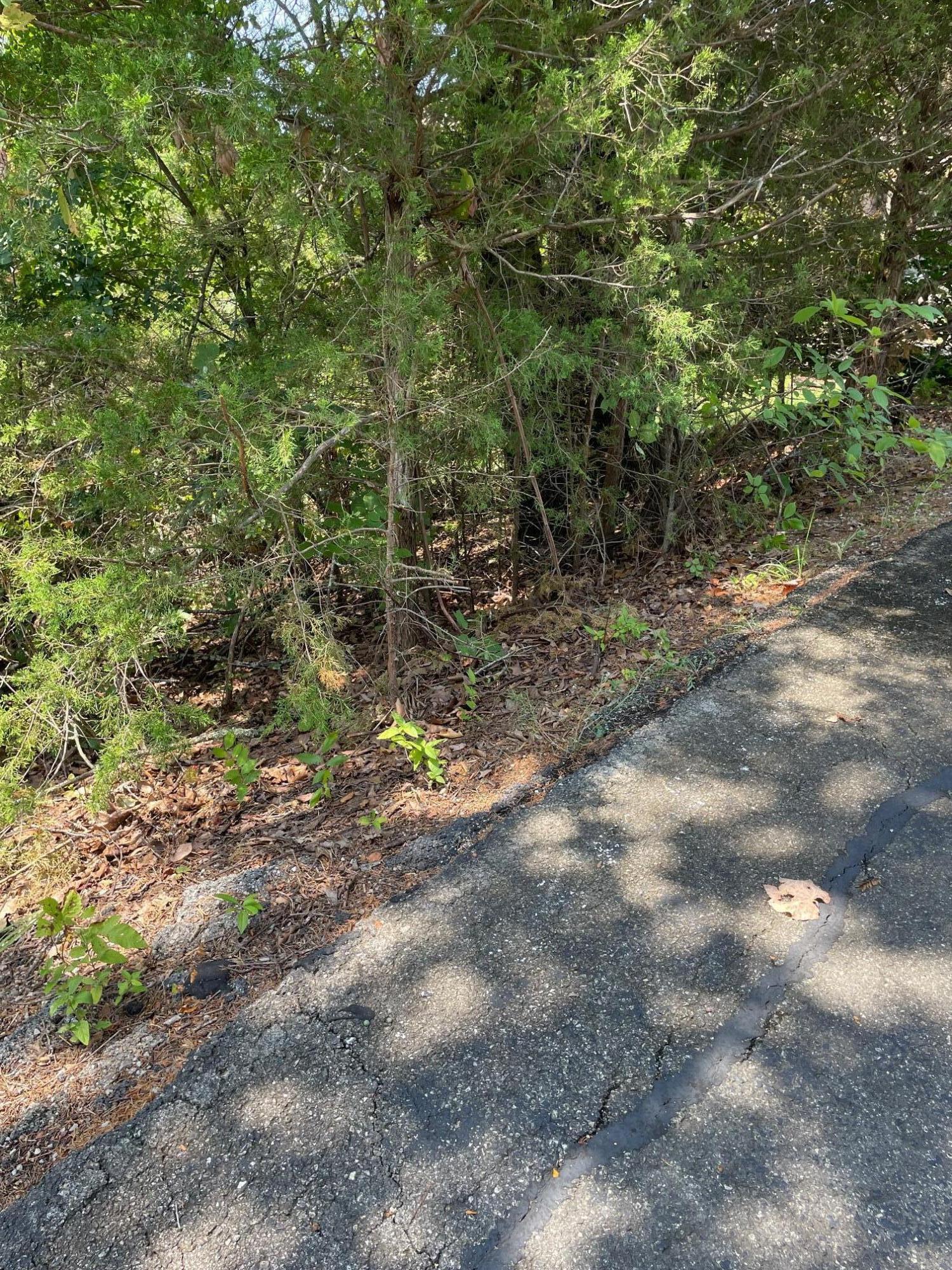 Photo 10 - Land for sale – 1316  Stoney Creek Lane  Branson West, MO