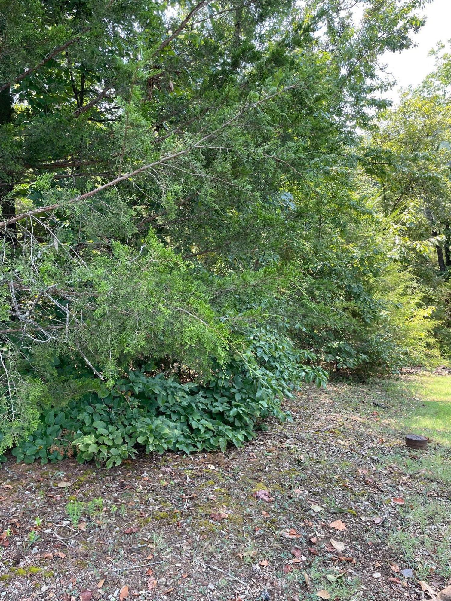 Photo 8 - Land for sale – 1316  Stoney Creek Lane  Branson West, MO