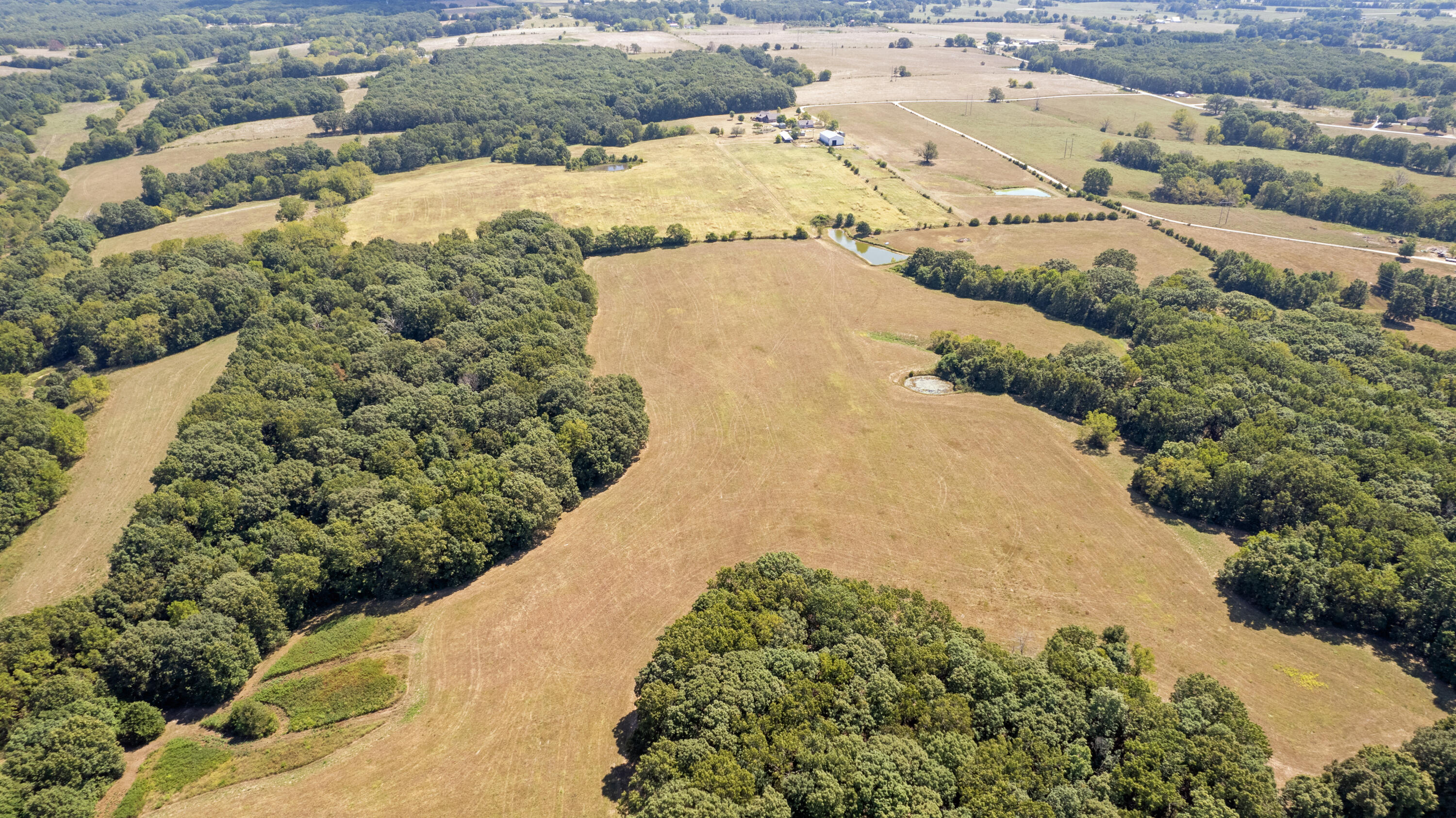 Photo 9 - Land for sale – 000  Little Creek Drive  Fordland, MO