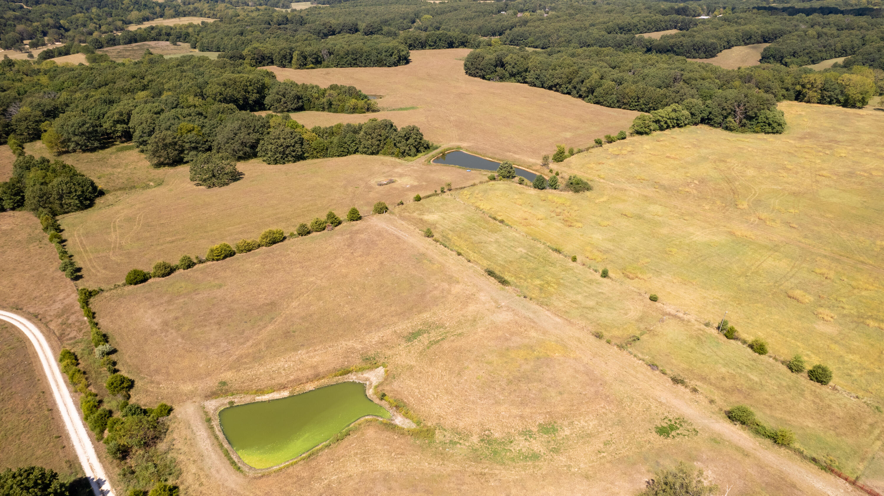 Photo 2 - Land for sale – 000  Little Creek Drive  Fordland, MO