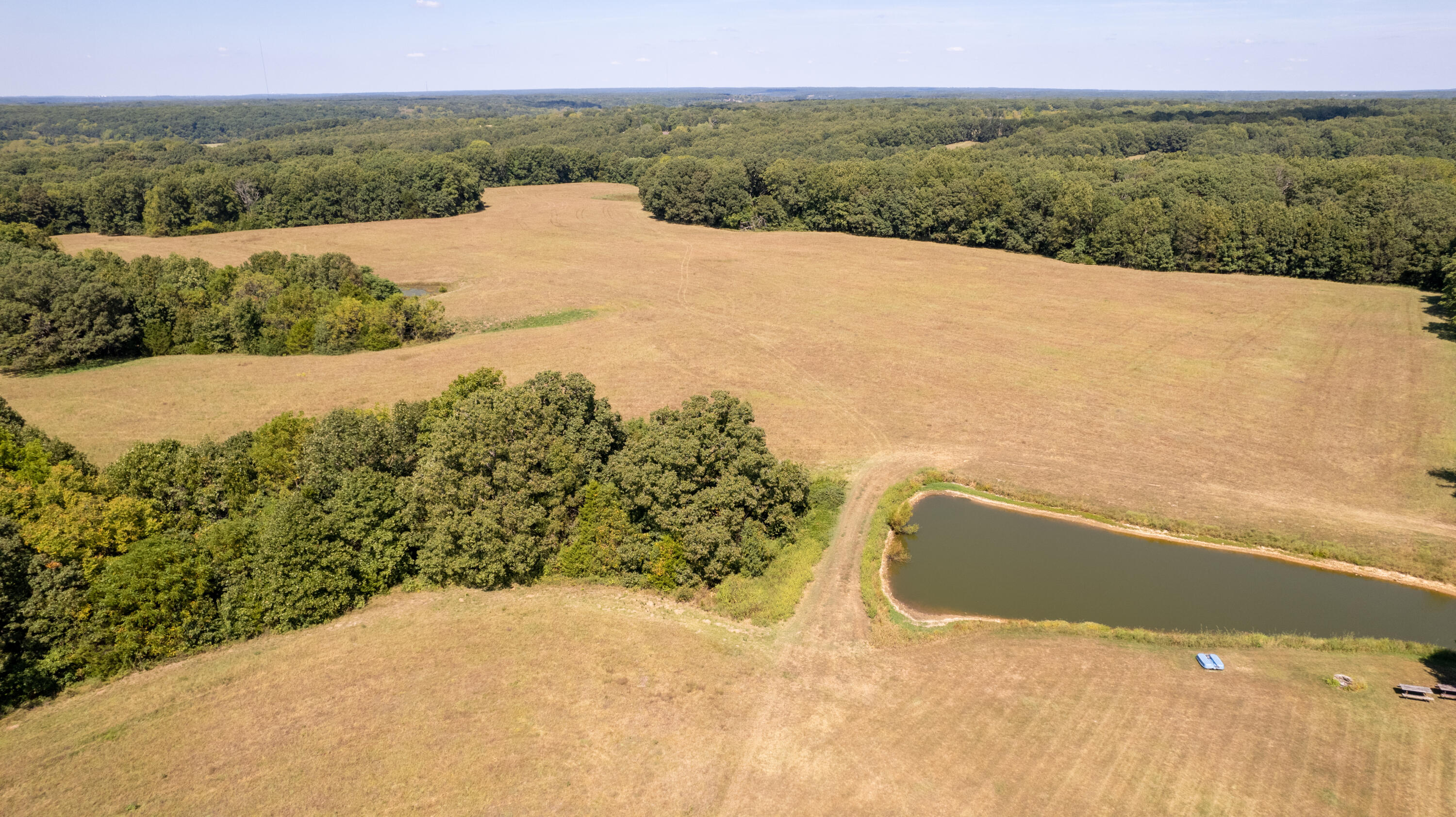 Photo 5 - Land for sale – 000  Little Creek Drive  Fordland, MO