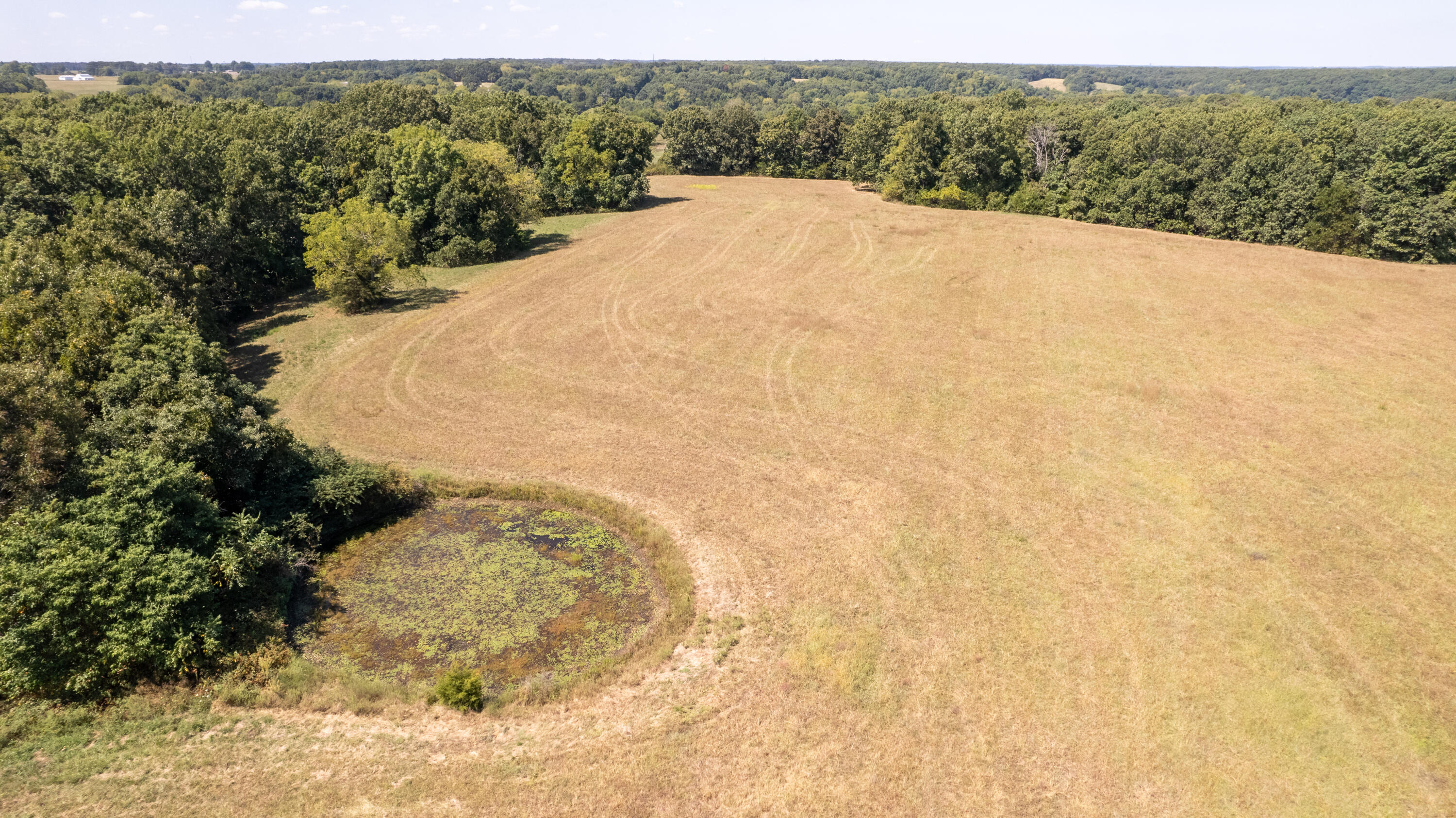 Photo 6 - Land for sale – 000  Little Creek Drive  Fordland, MO