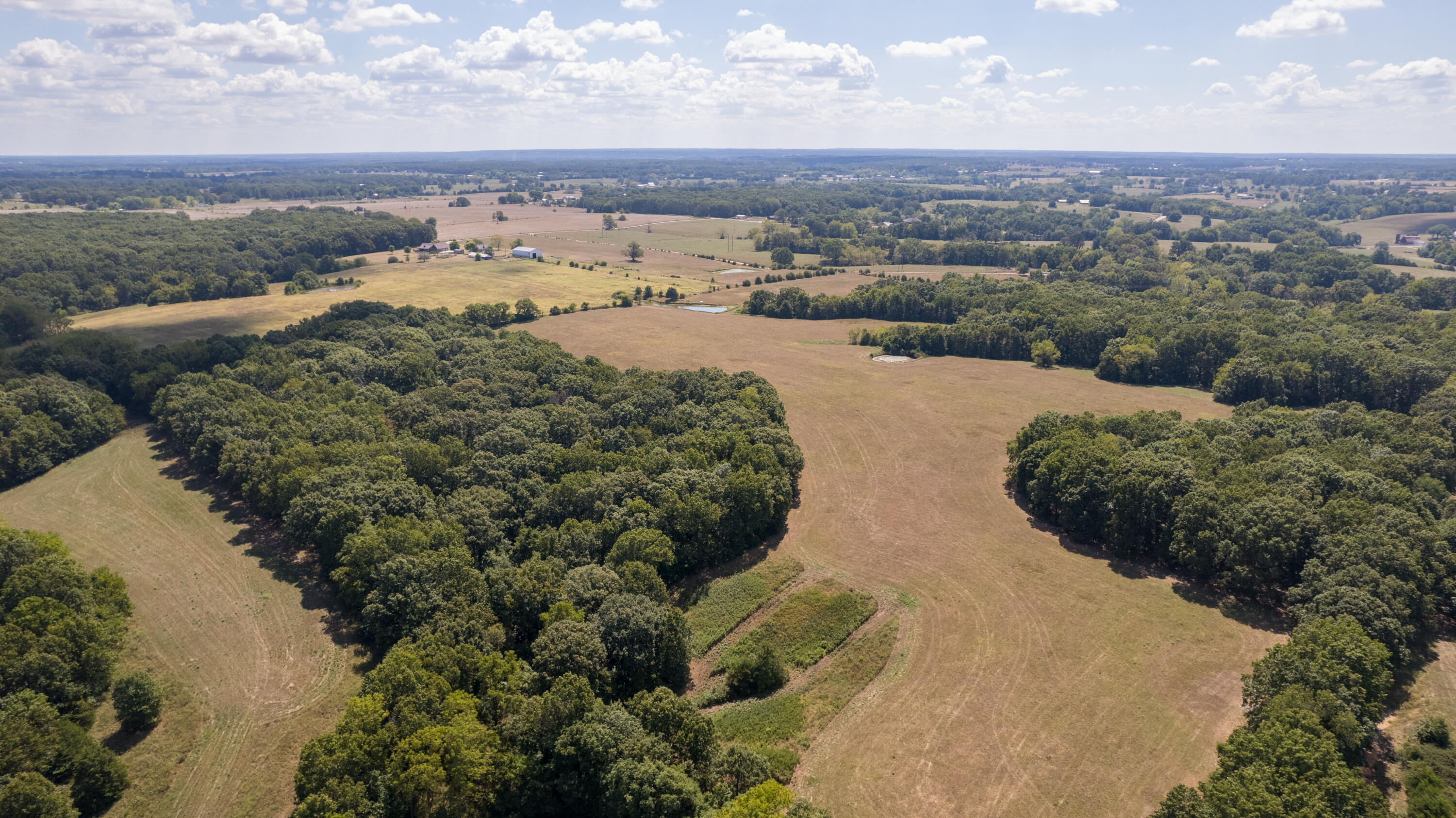 Photo 11 - Land for sale – 000  Little Creek Drive  Fordland, MO
