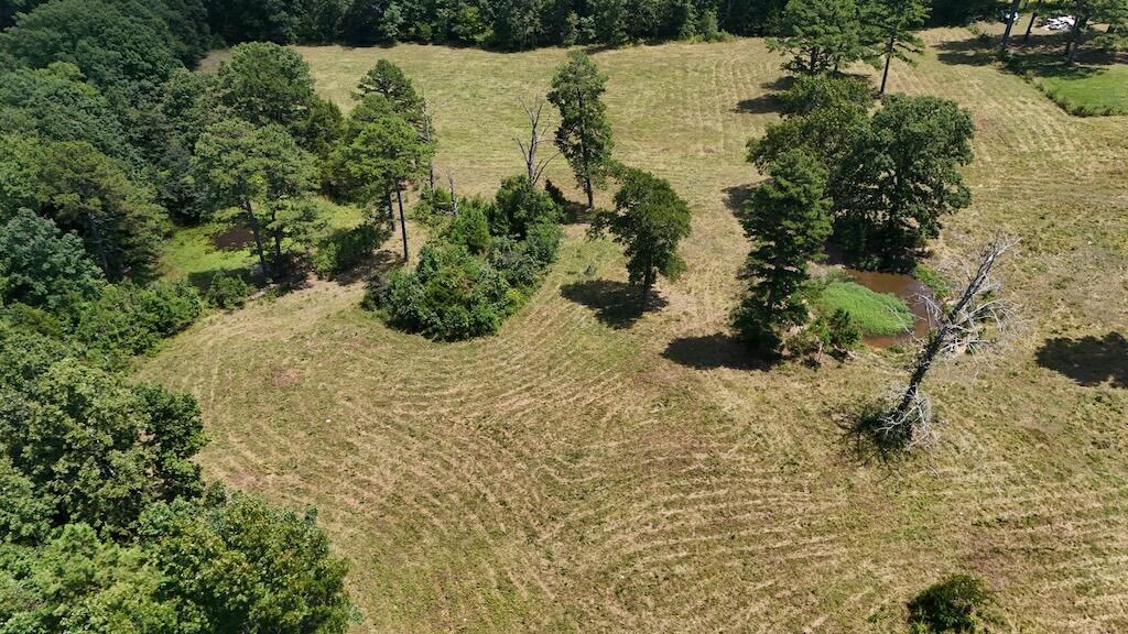 Photo 7 - Farm for sale – 17911  Cr 576   Winona, MO