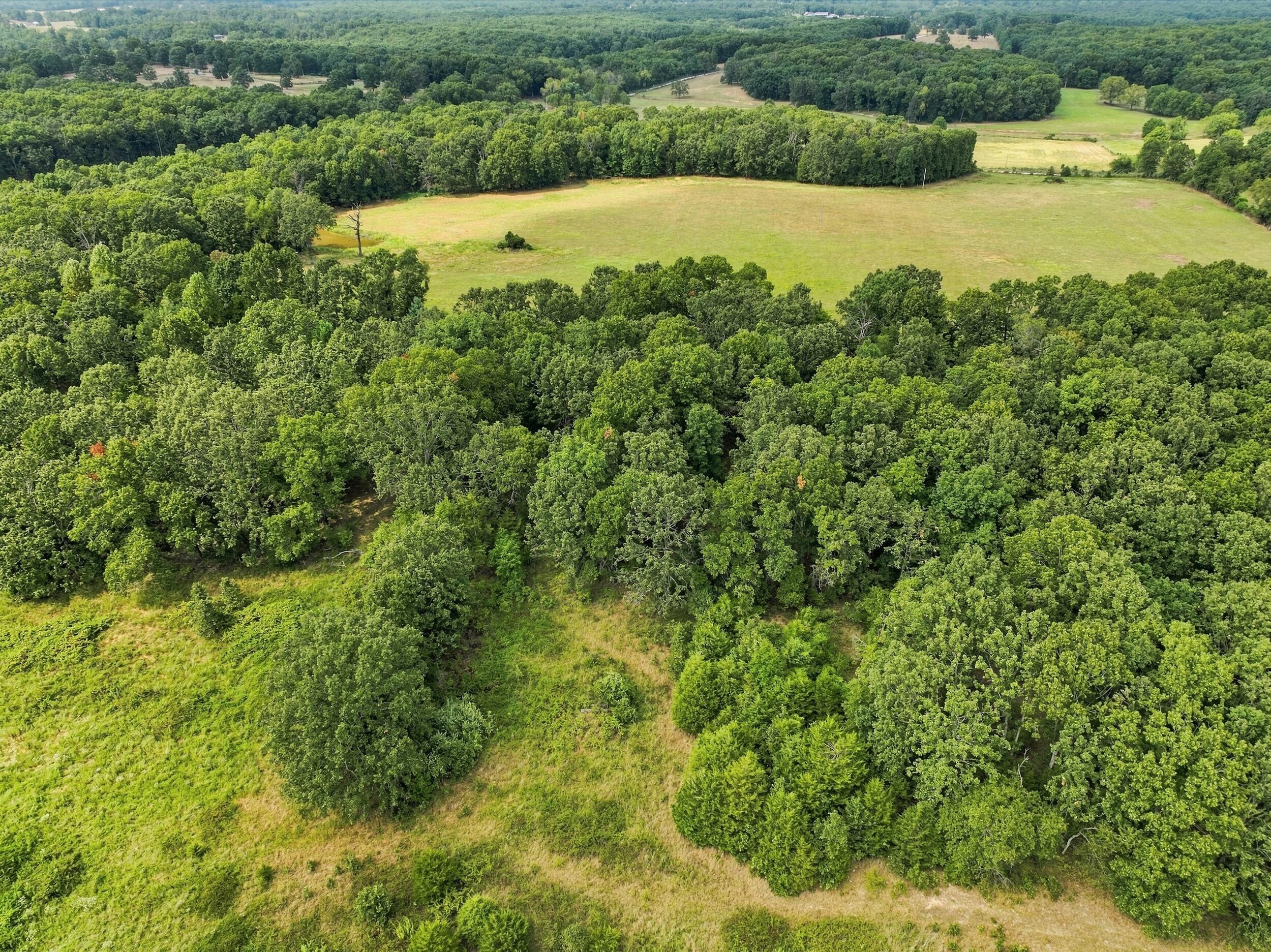 Photo 3 - Residential for sale – 6182  County Road 2350   Pomona, MO