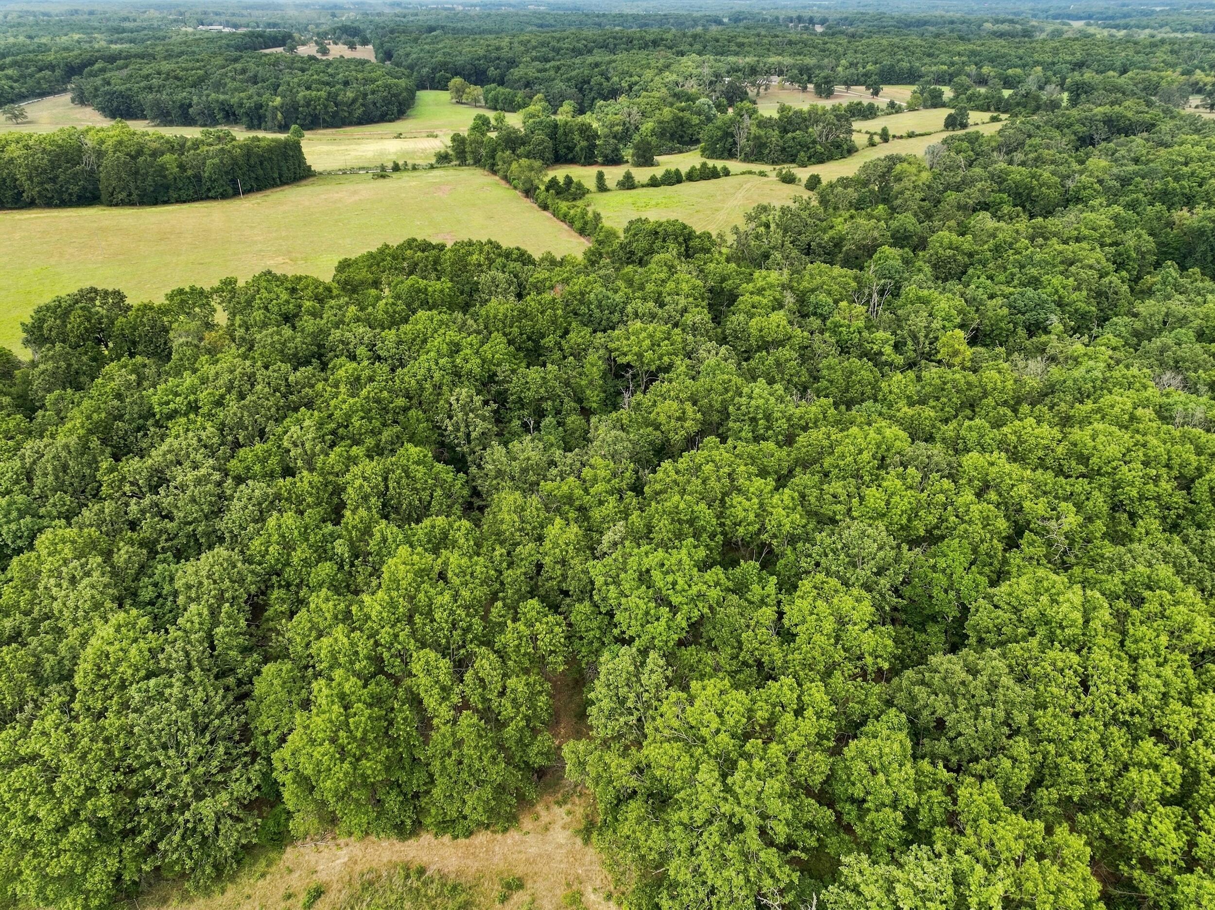 Photo 5 - Residential for sale – 6182  County Road 2350   Pomona, MO