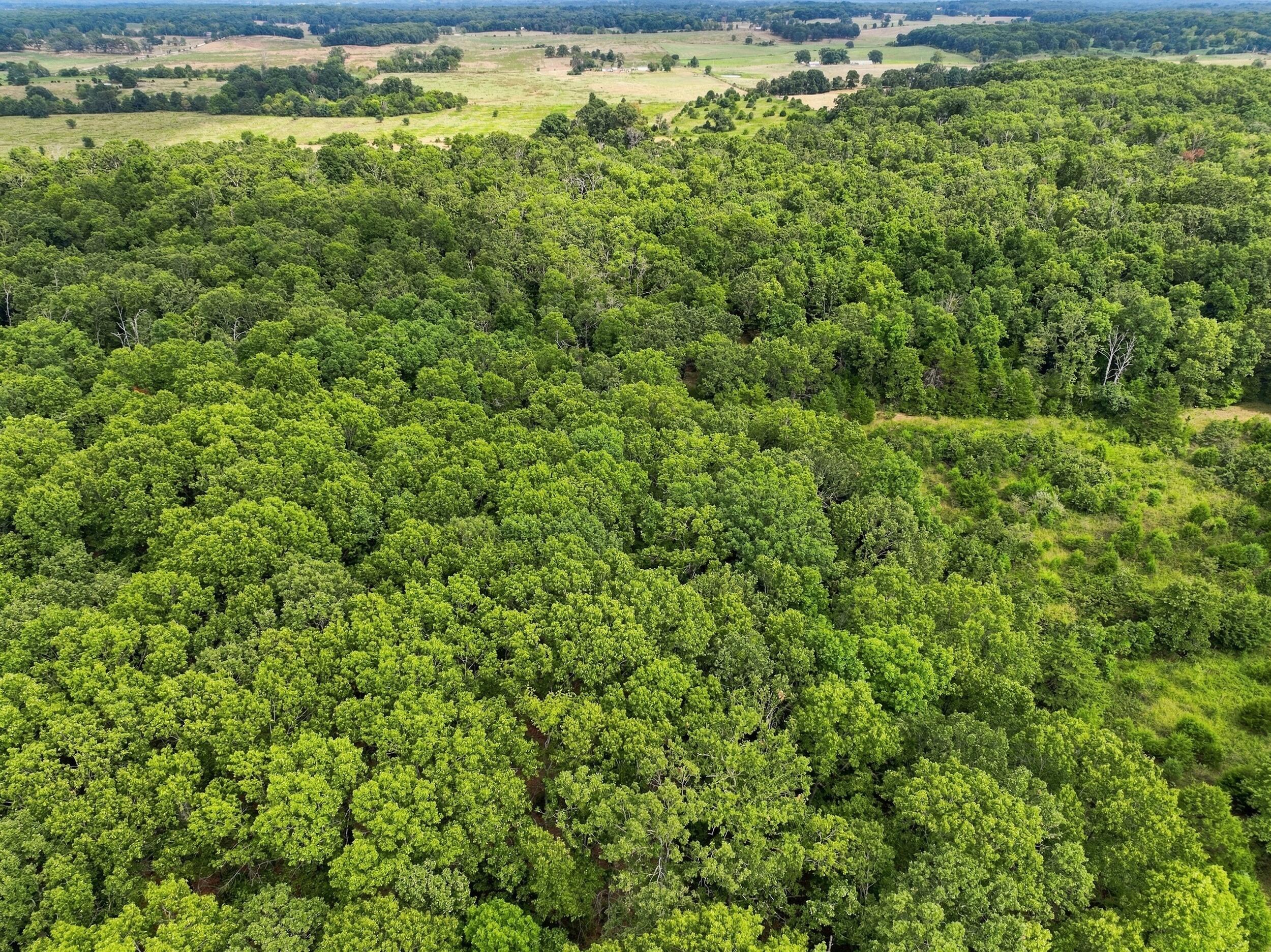 Photo 7 - Residential for sale – 6182  County Road 2350   Pomona, MO