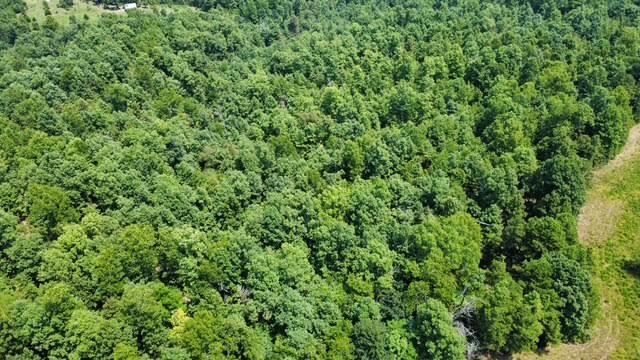Photo 22 - Residential for sale – 1624  County Road 434   Birch Tree, MO