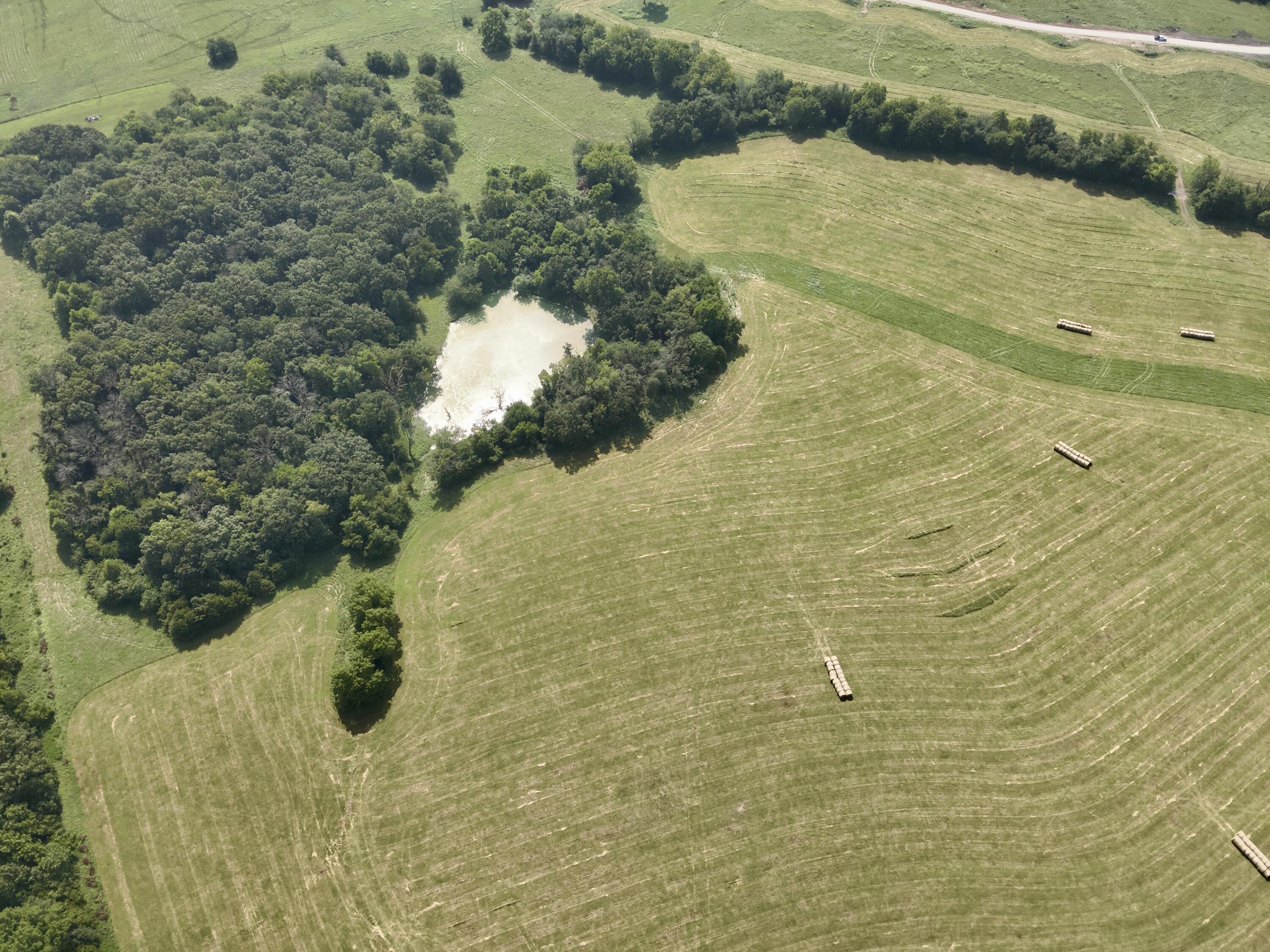 Photo 10 - Land for sale – Lot 4 E 442nd Road  Bolivar, MO