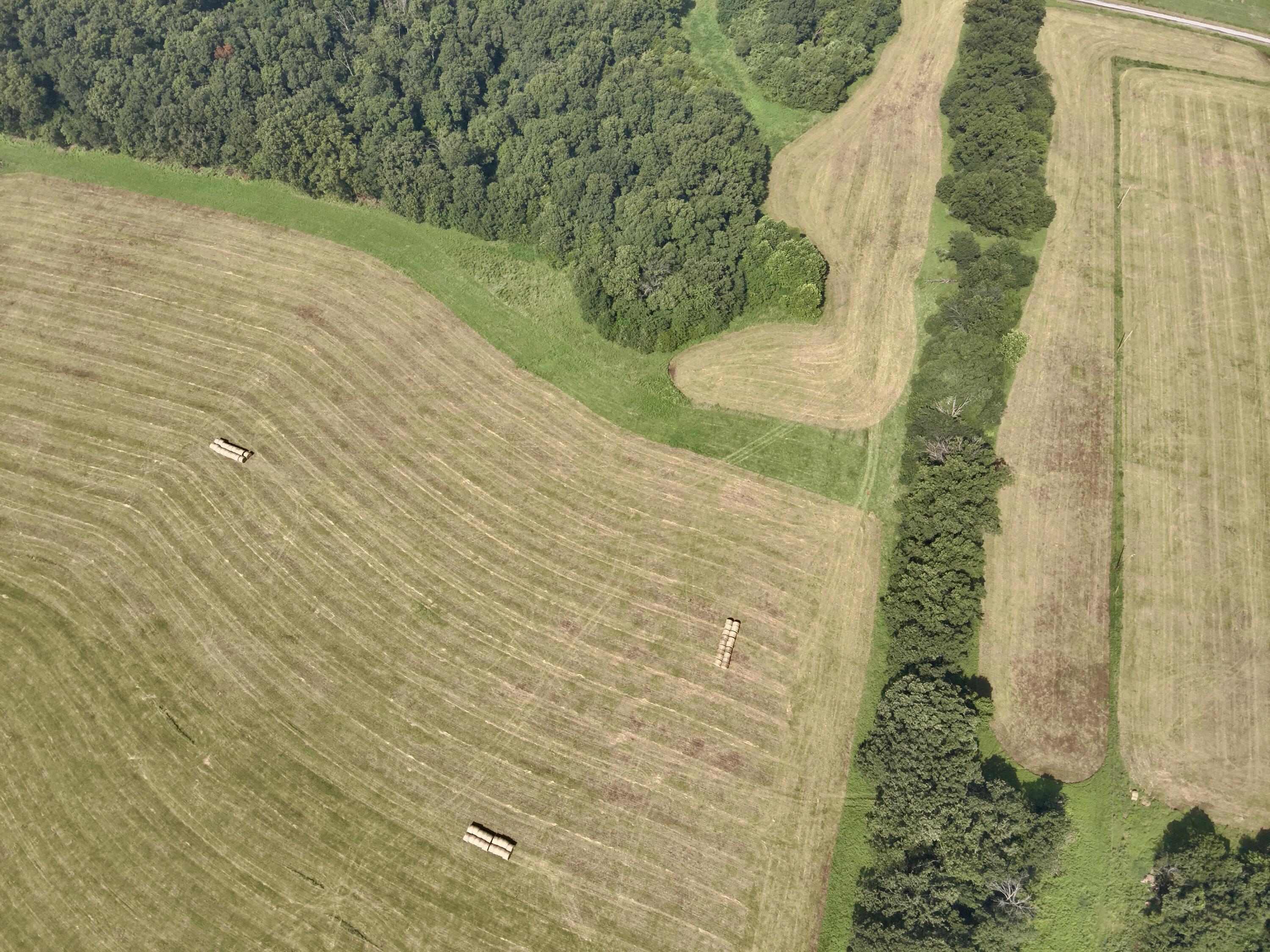 Photo 12 - Land for sale – Lot 8 E 442nd Road  Bolivar, MO