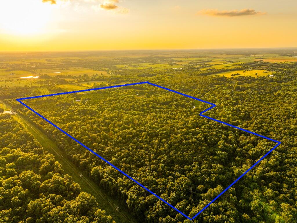 Photo 3 - Residential for sale – 14143 S 2875th Road  Walker, MO