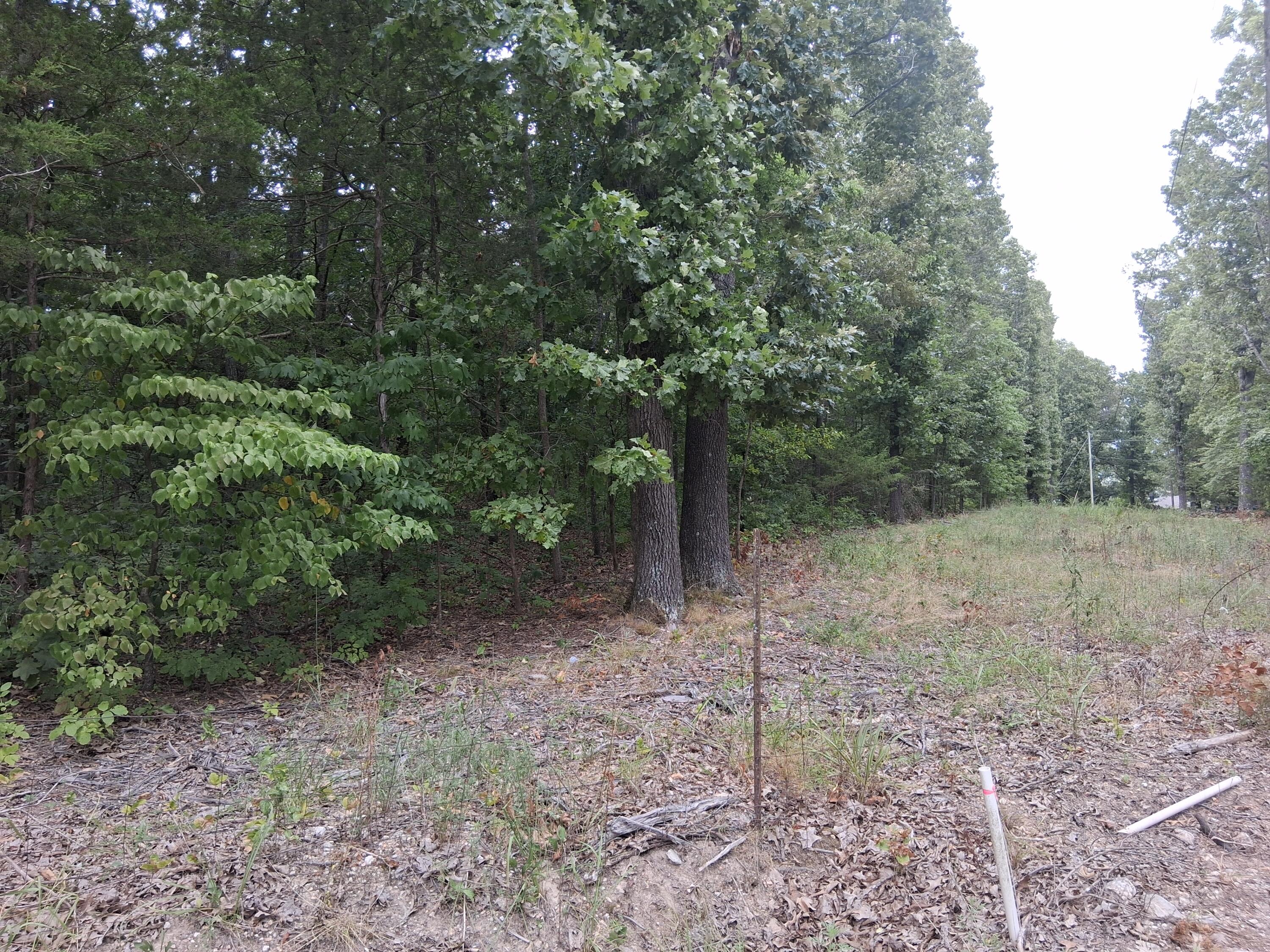 Photo 2 - Land for sale – 000  Fireman   Shell Knob, MO