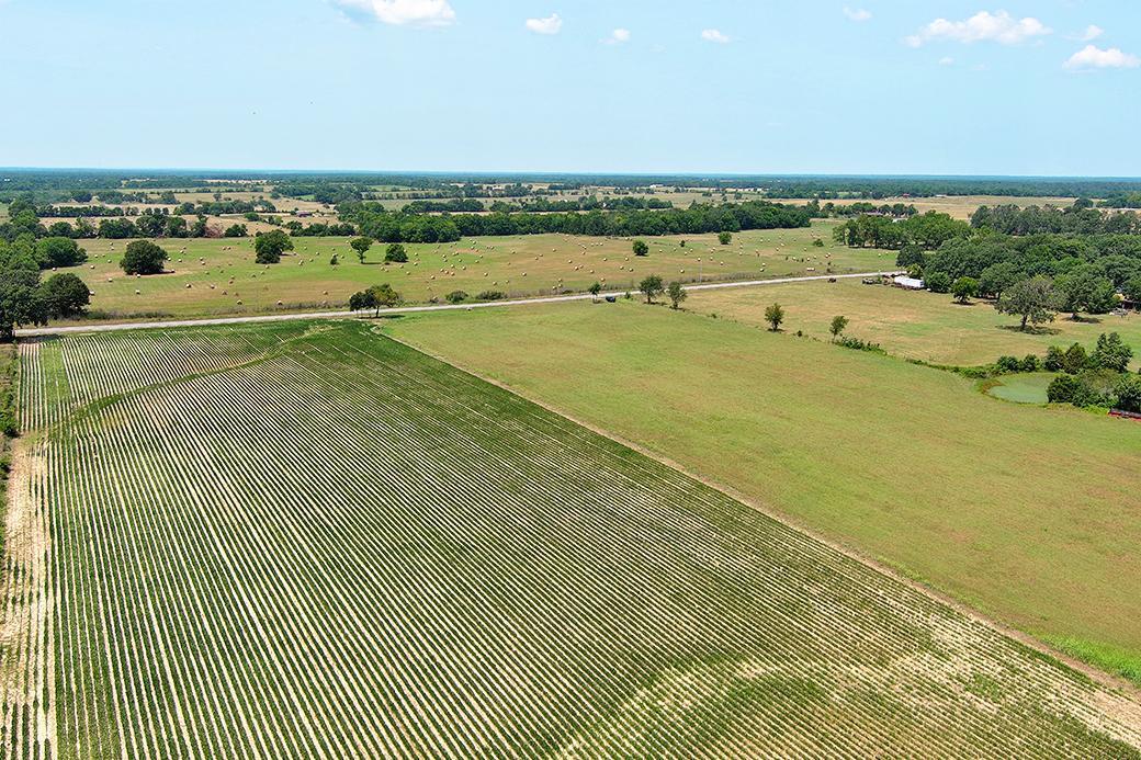 Photo 13 - Land for sale – 000  State Highway Y   Seneca, MO