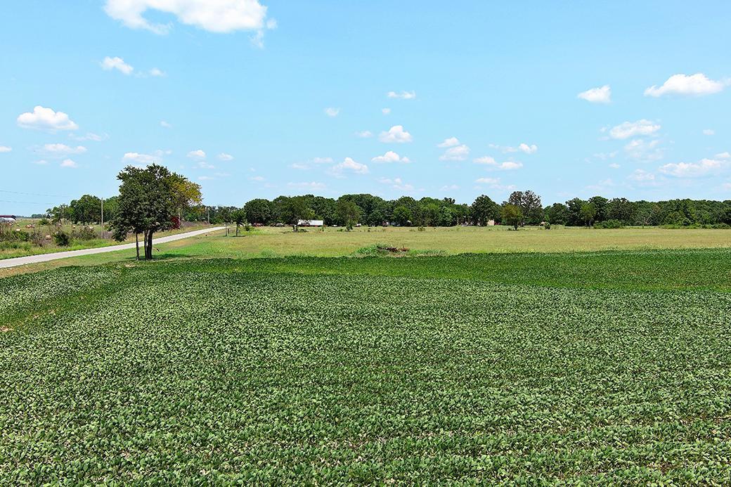 Photo 12 - Land for sale – 000  State Highway Y   Seneca, MO