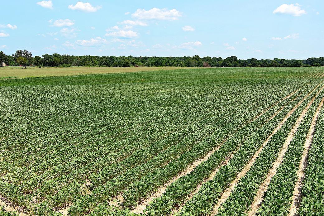 Photo 18 - Land for sale – 000  State Highway Y   Seneca, MO
