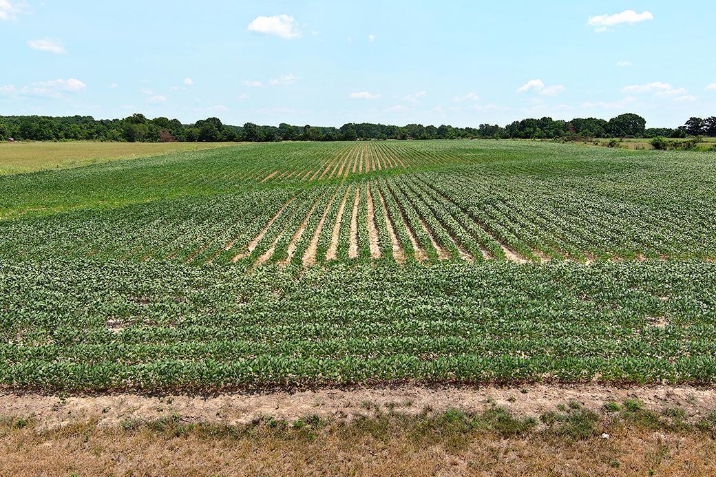 Photo 11 - Land for sale – 000  State Highway Y   Seneca, MO