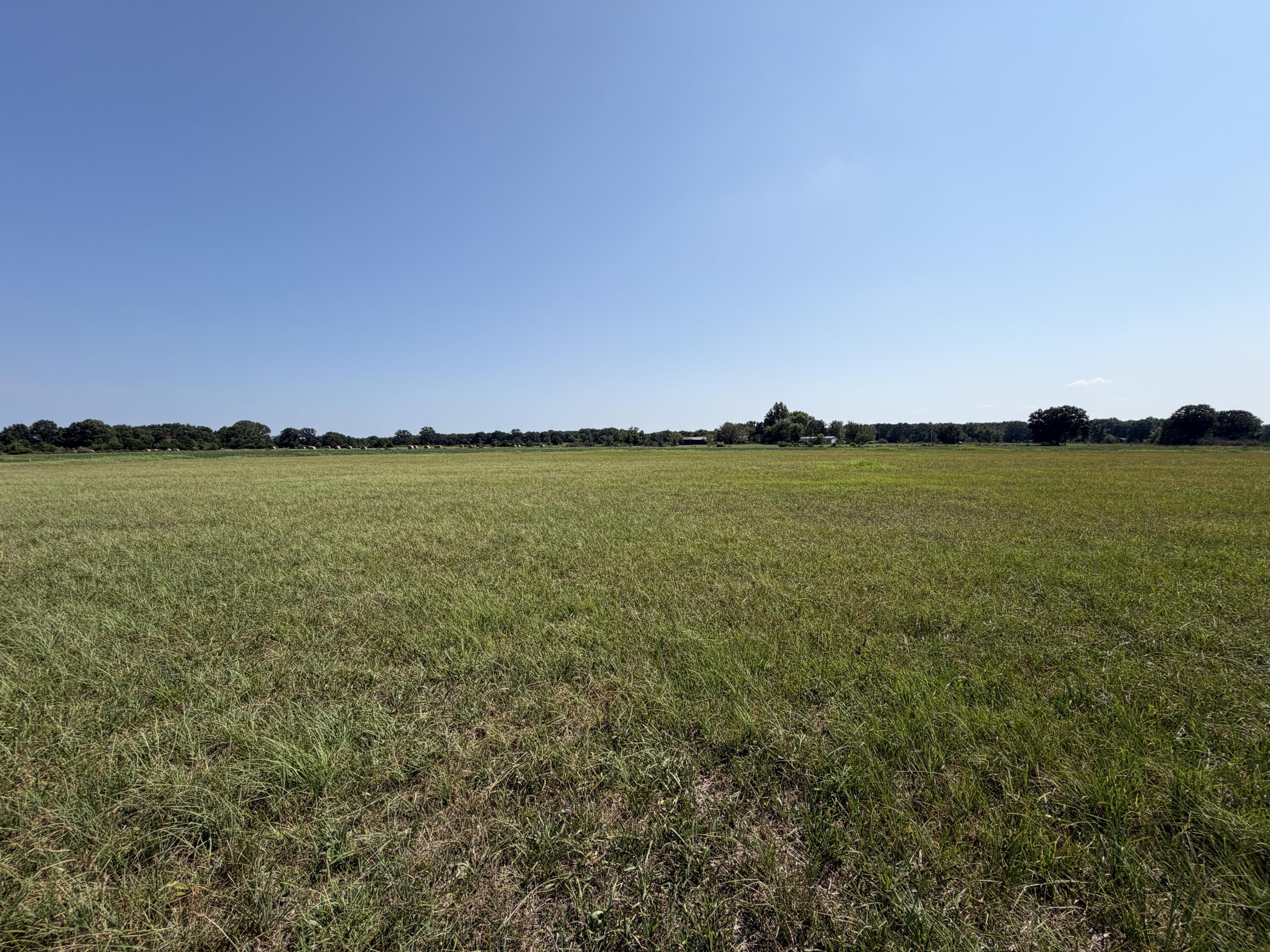 Photo 4 - Land for sale – 000  State Highway Y   Seneca, MO